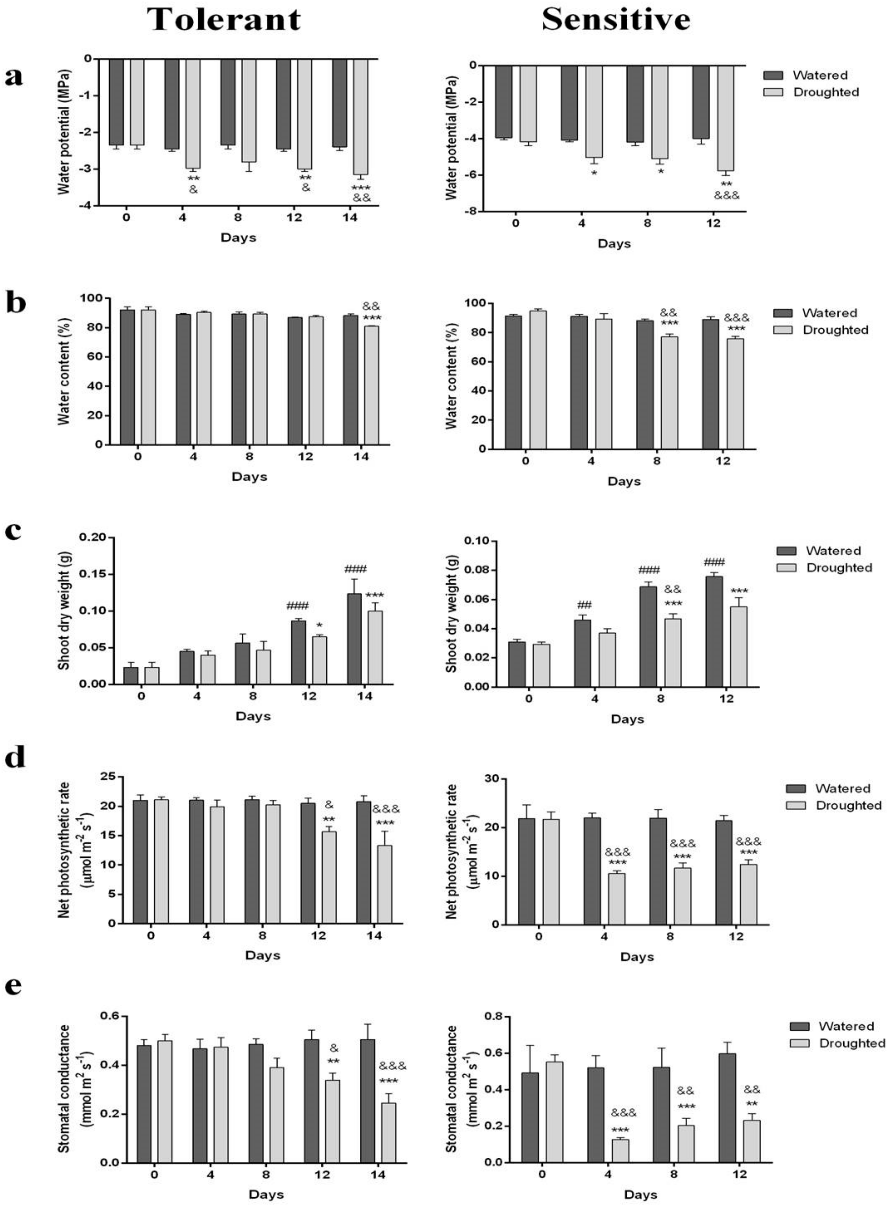 Molecules 25 01091 g001 Molecules 25 01091 g001