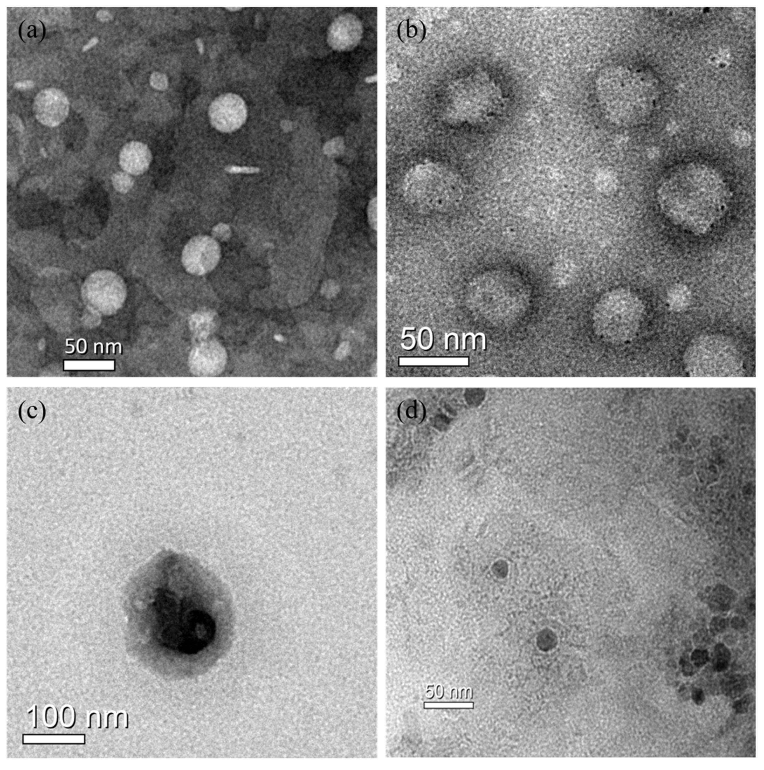 Molecules 25 01098 g002