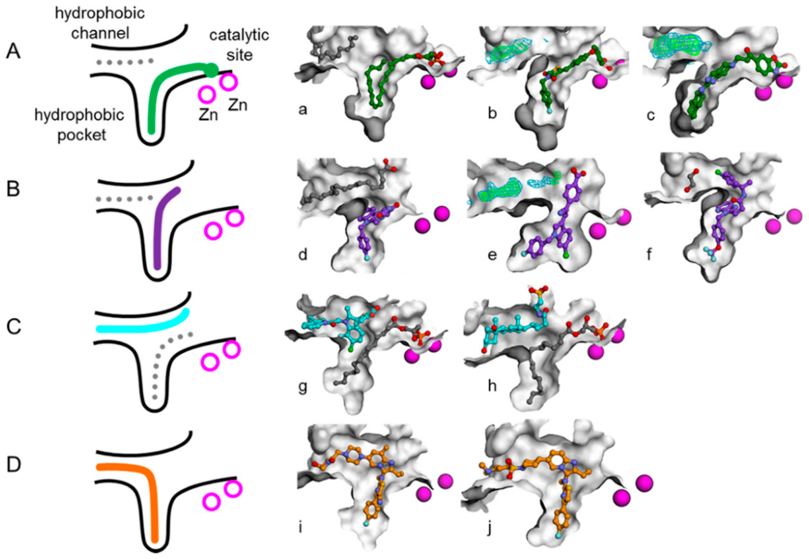 Molecules 25 01107 g001 Molecules 25 01107 g001