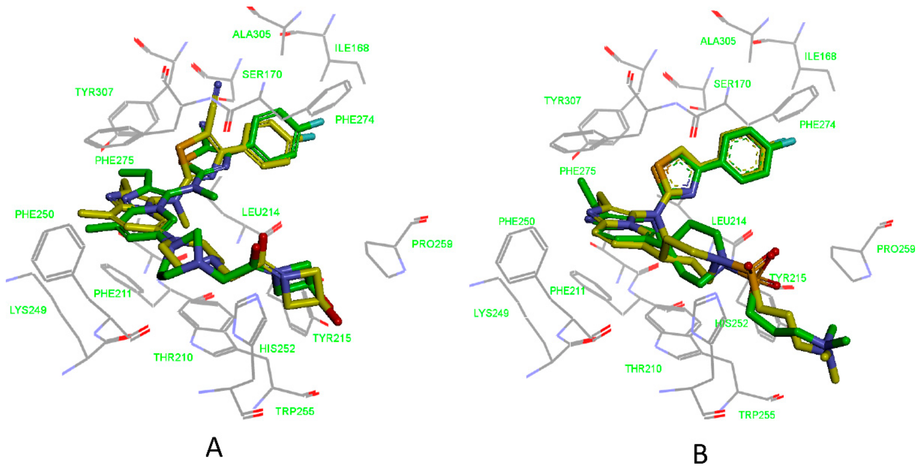 Molecules 25 01107 g004 Molecules 25 01107 g004