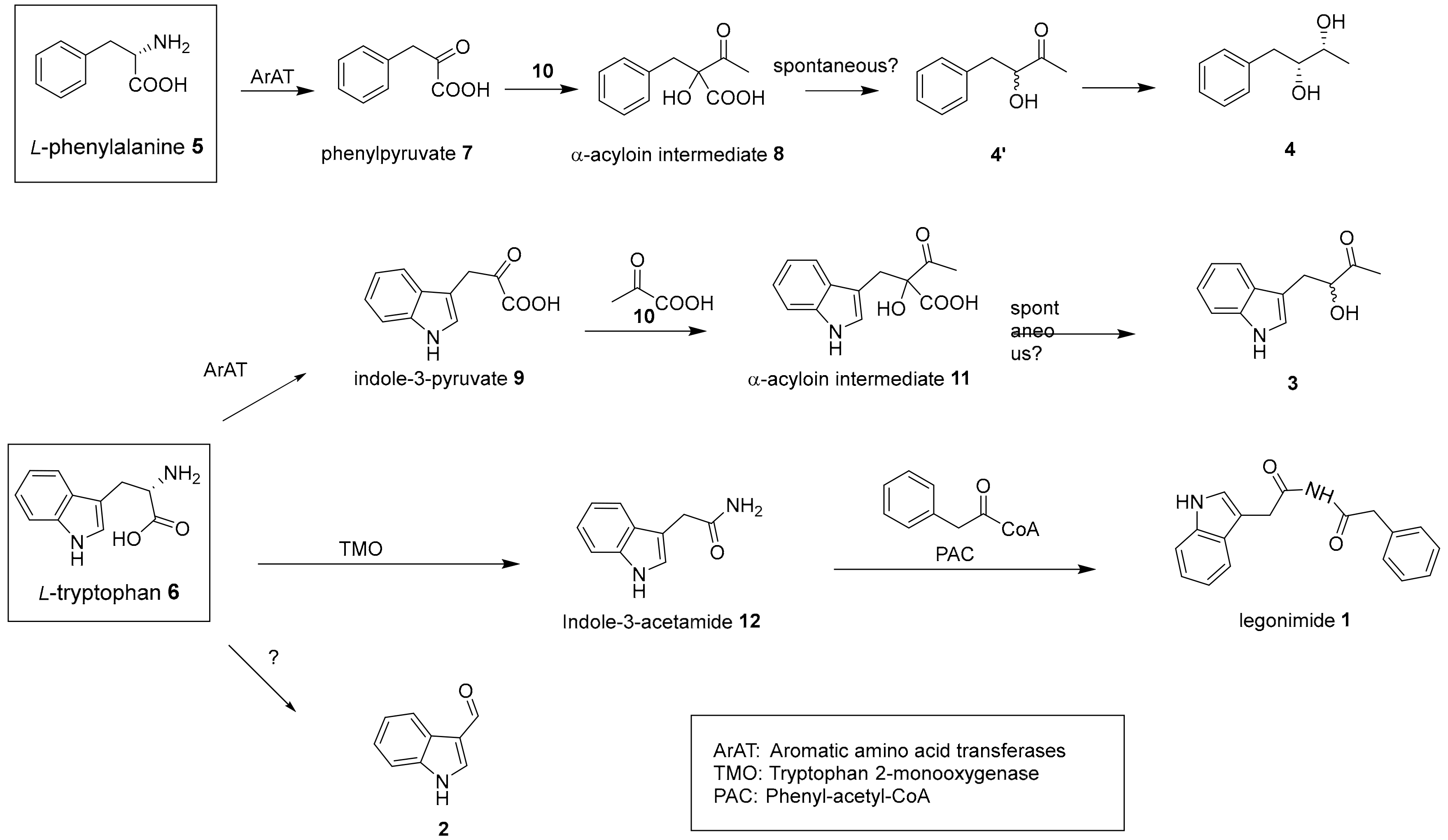 Molecules 25 01108 g002