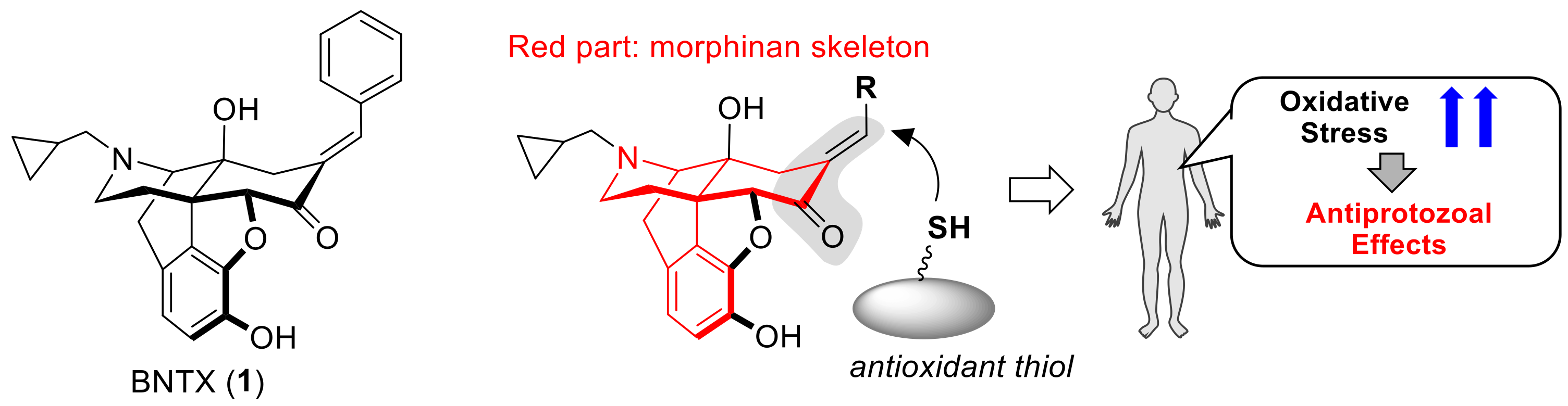 Molecules 25 01112 g001