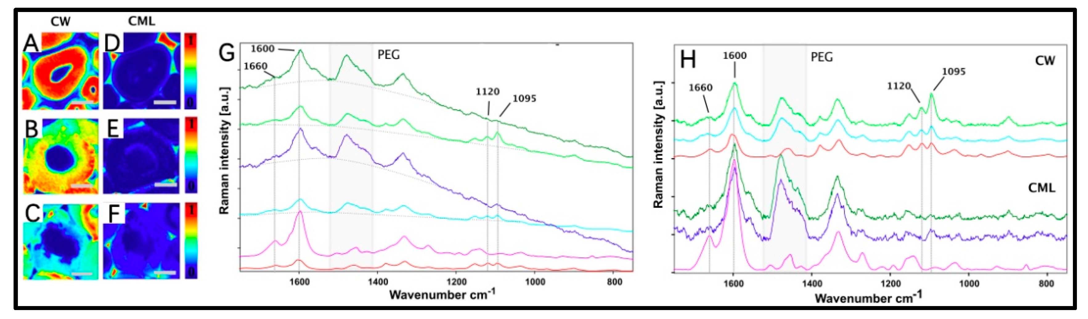 Molecules 25 01113 g005