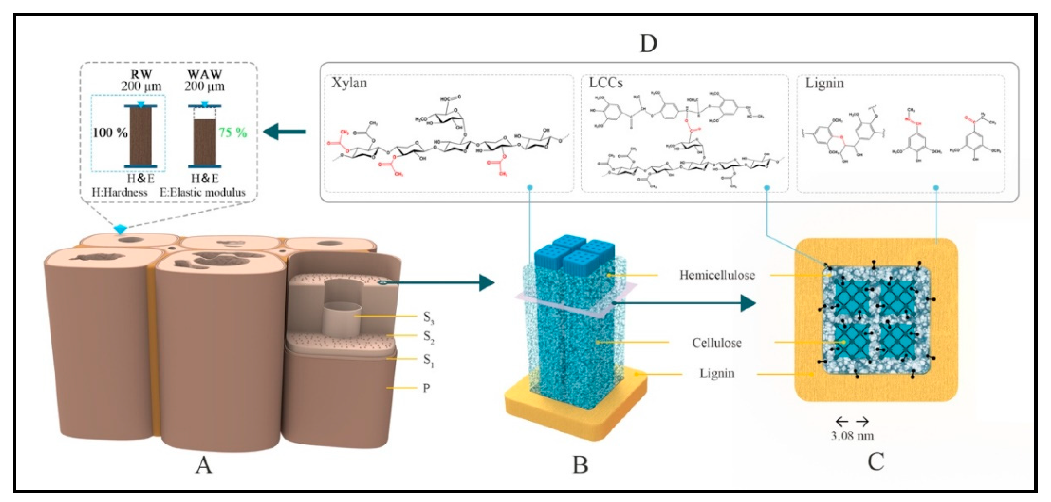 Molecules 25 01113 g008