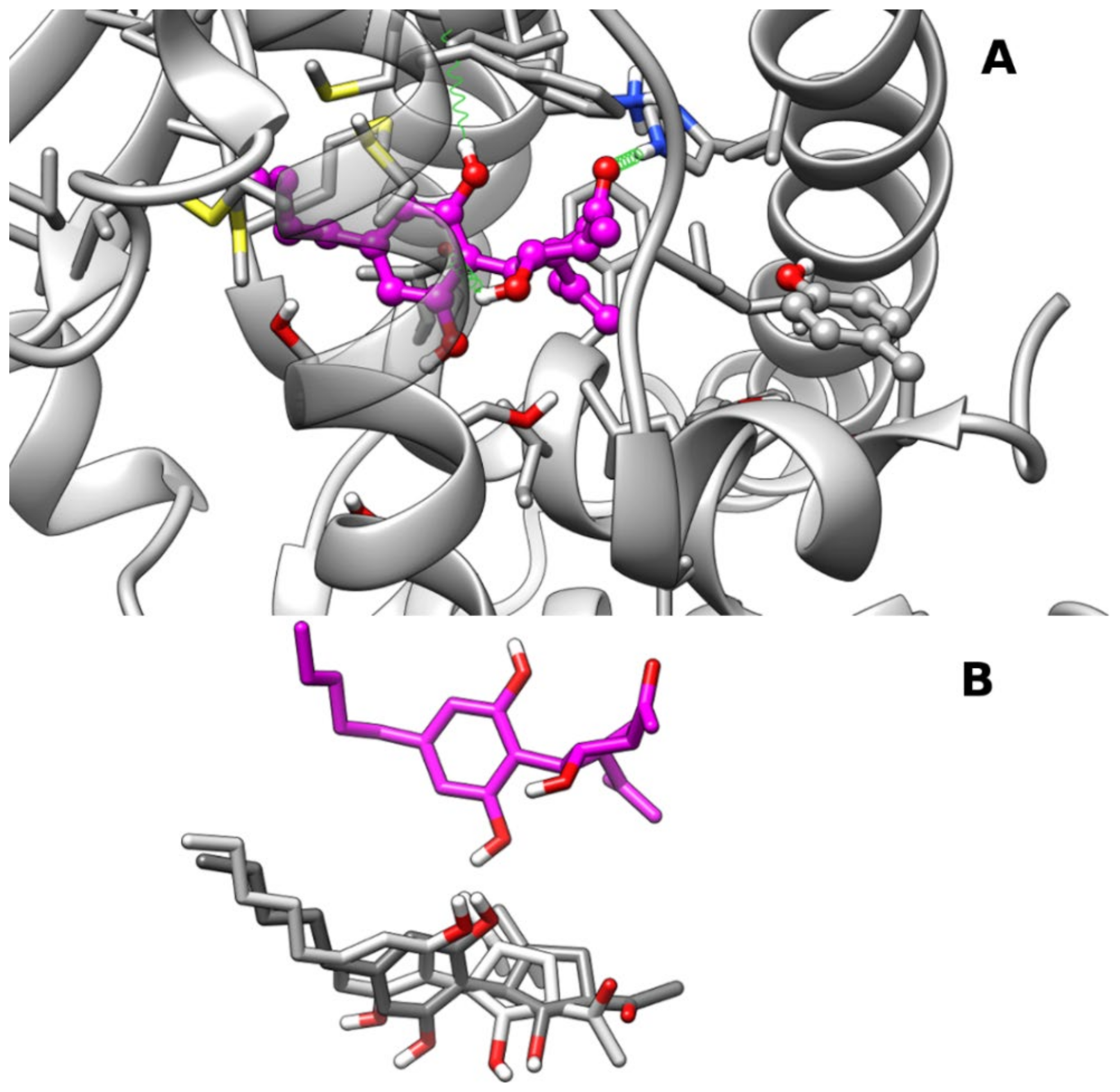 Molecules 25 01119 g004