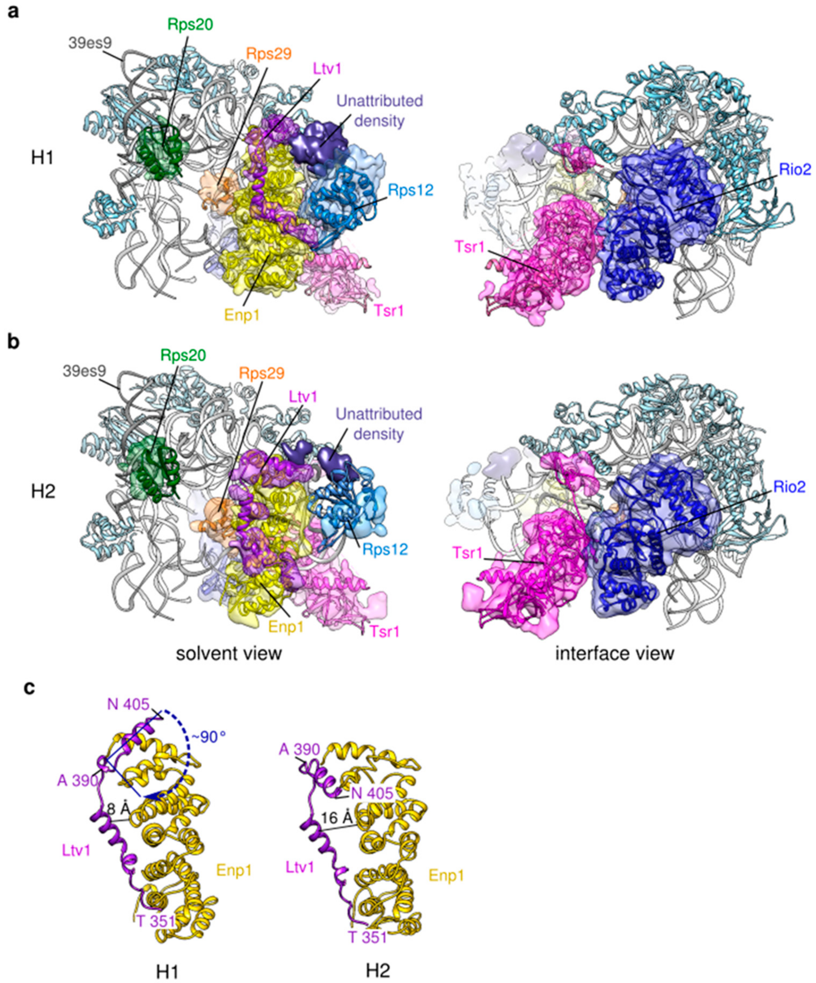 Molecules Free Full Text Good Vibrations Structural Images, Photos, Reviews