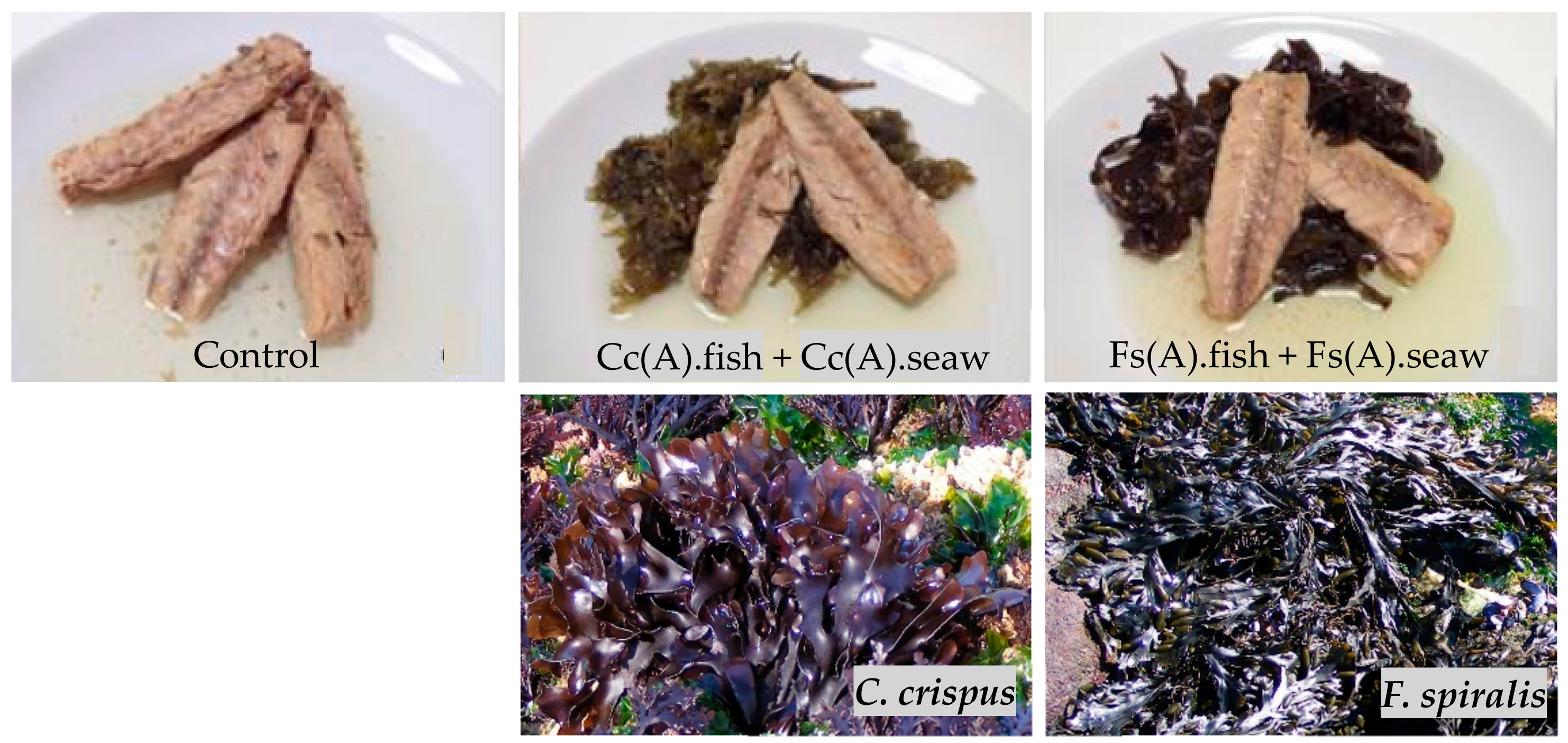 Molecules 25 01133 g005 Molecules 25 01133 g005