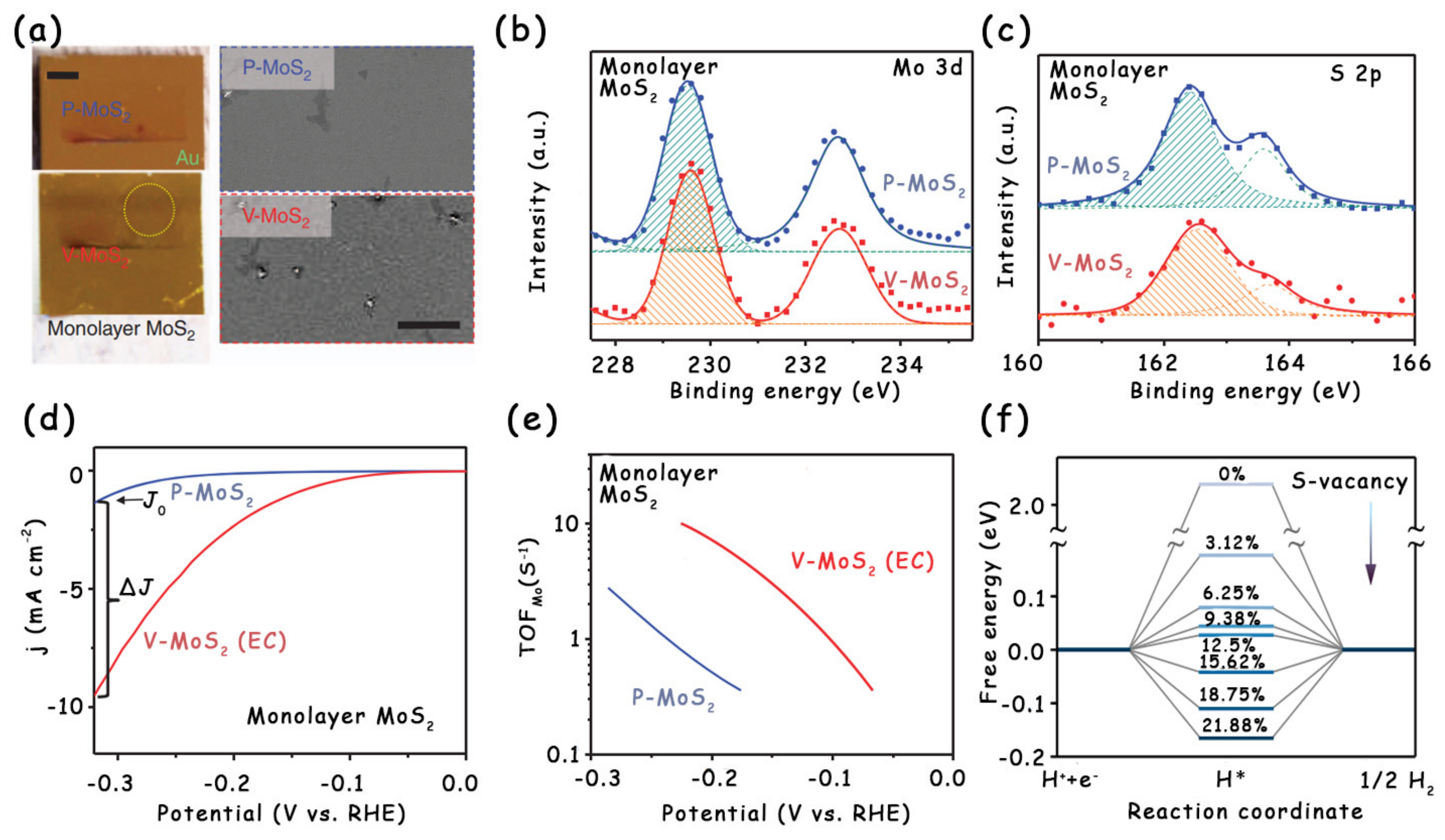 Molecules 25 01136 g005