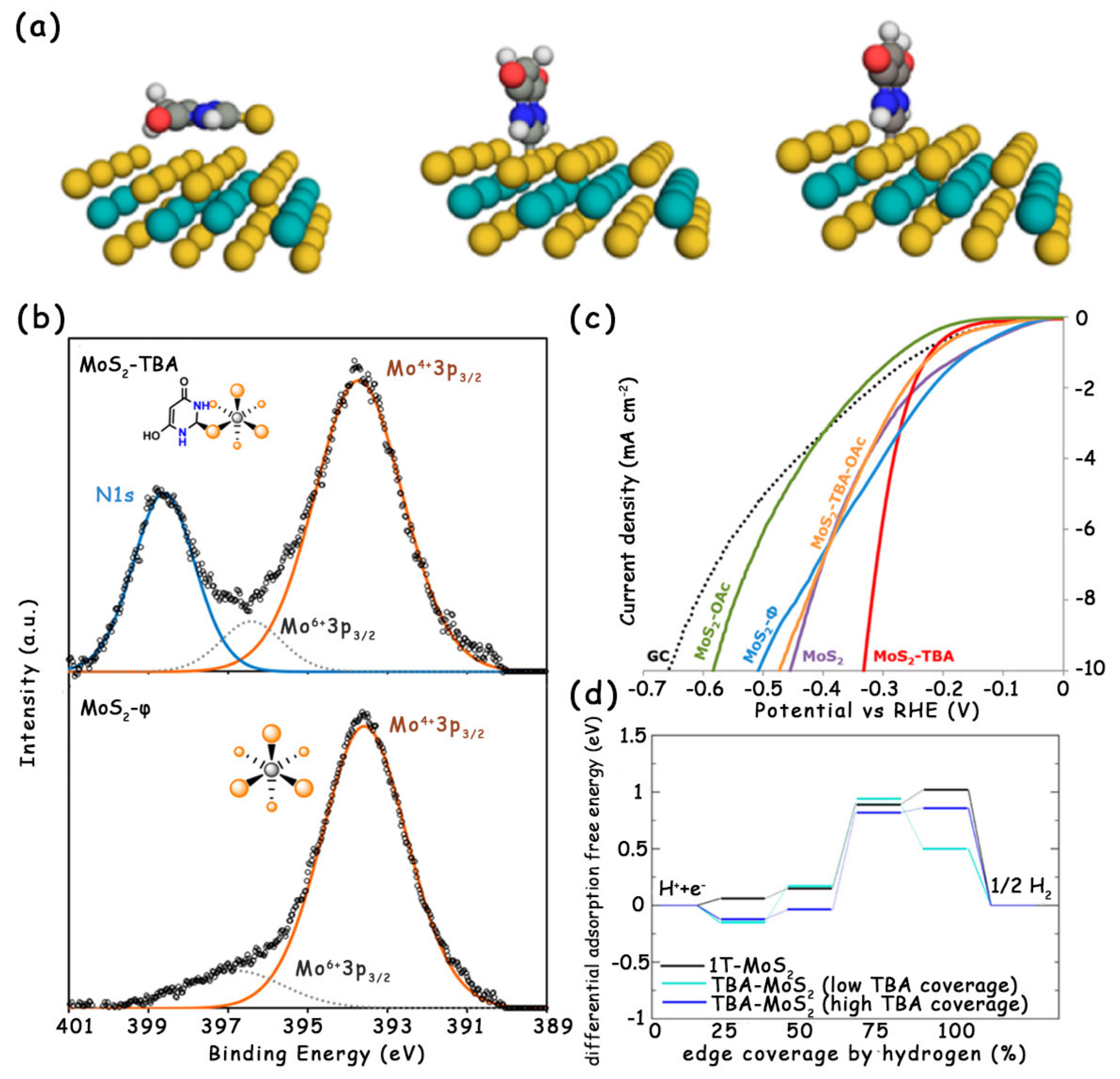Molecules 25 01136 g008
