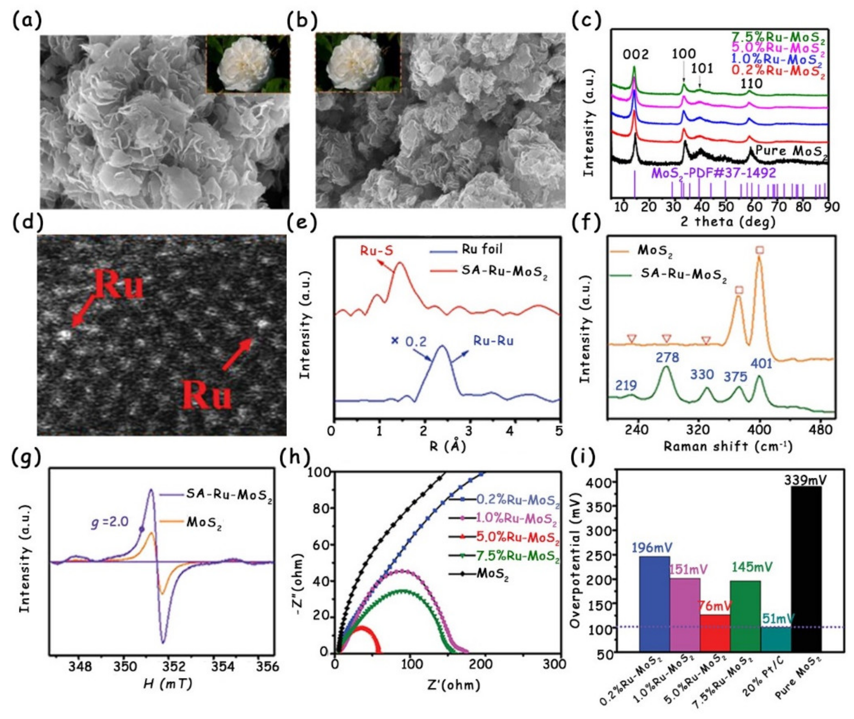 Molecules 25 01136 g013