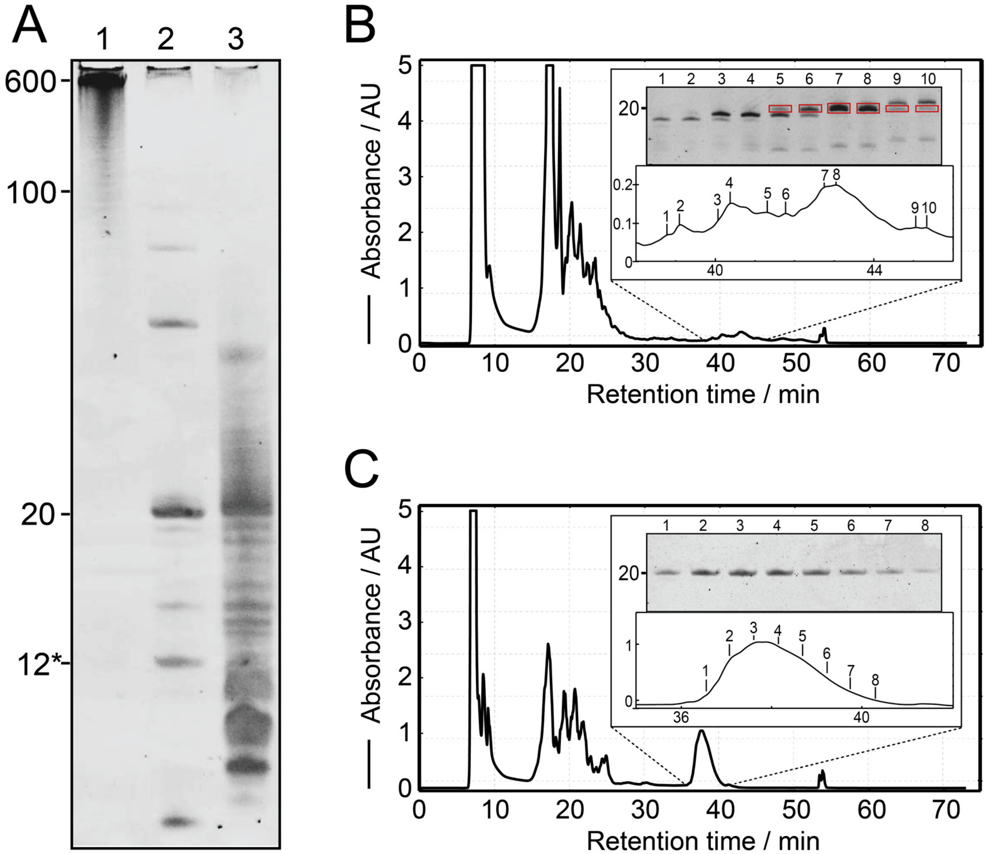 Molecules 25 01142 g002