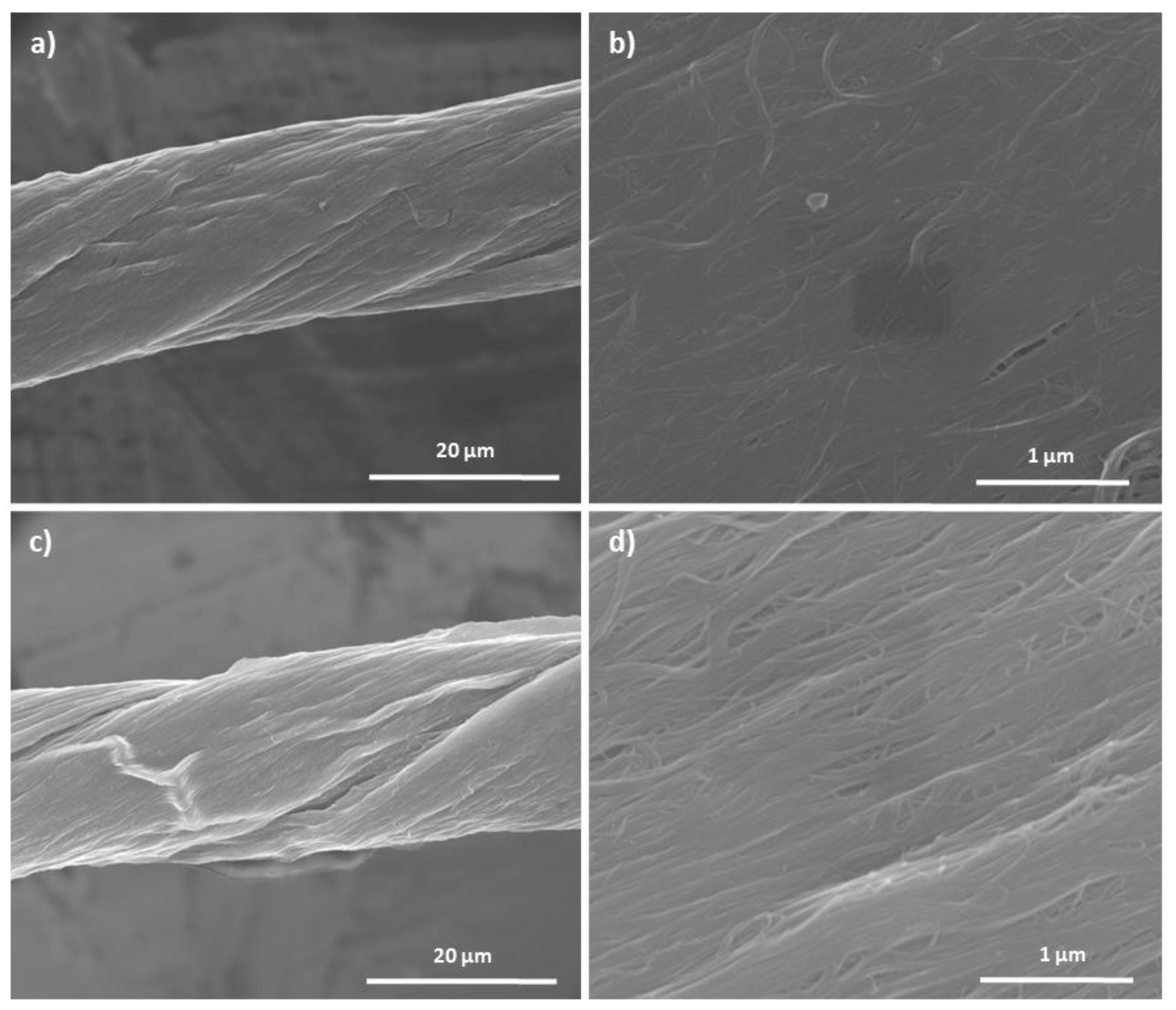 Molecules 25 01144 g007