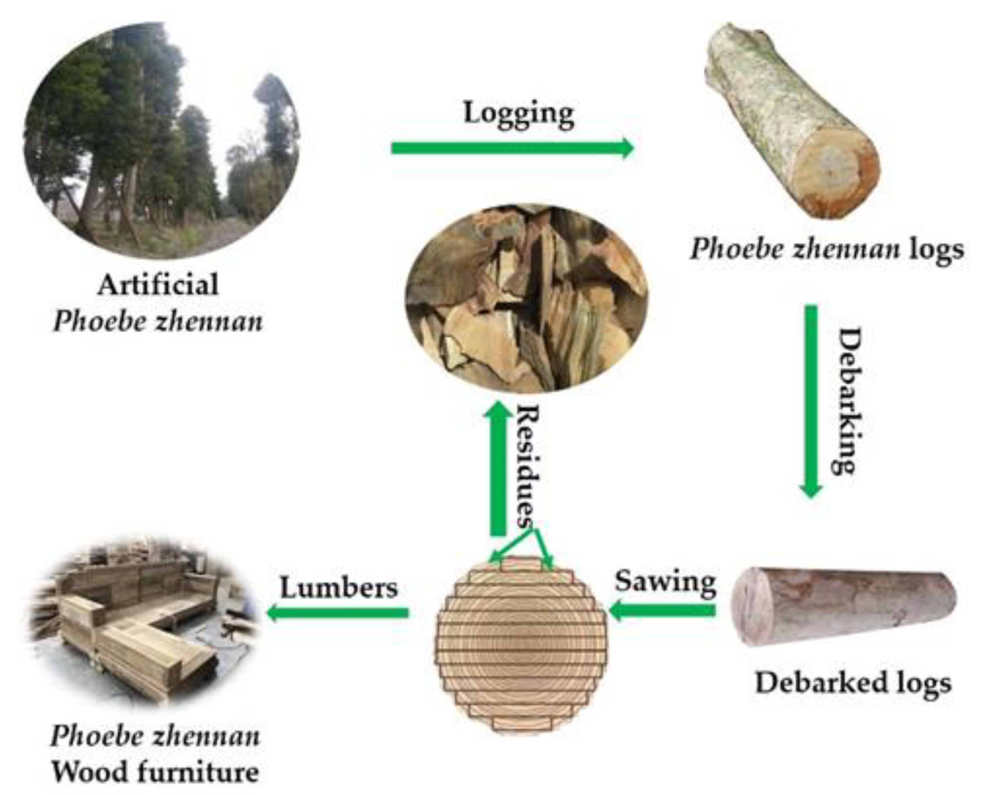 Molecules 25 01145 g010 Molecules 25 01145 g010