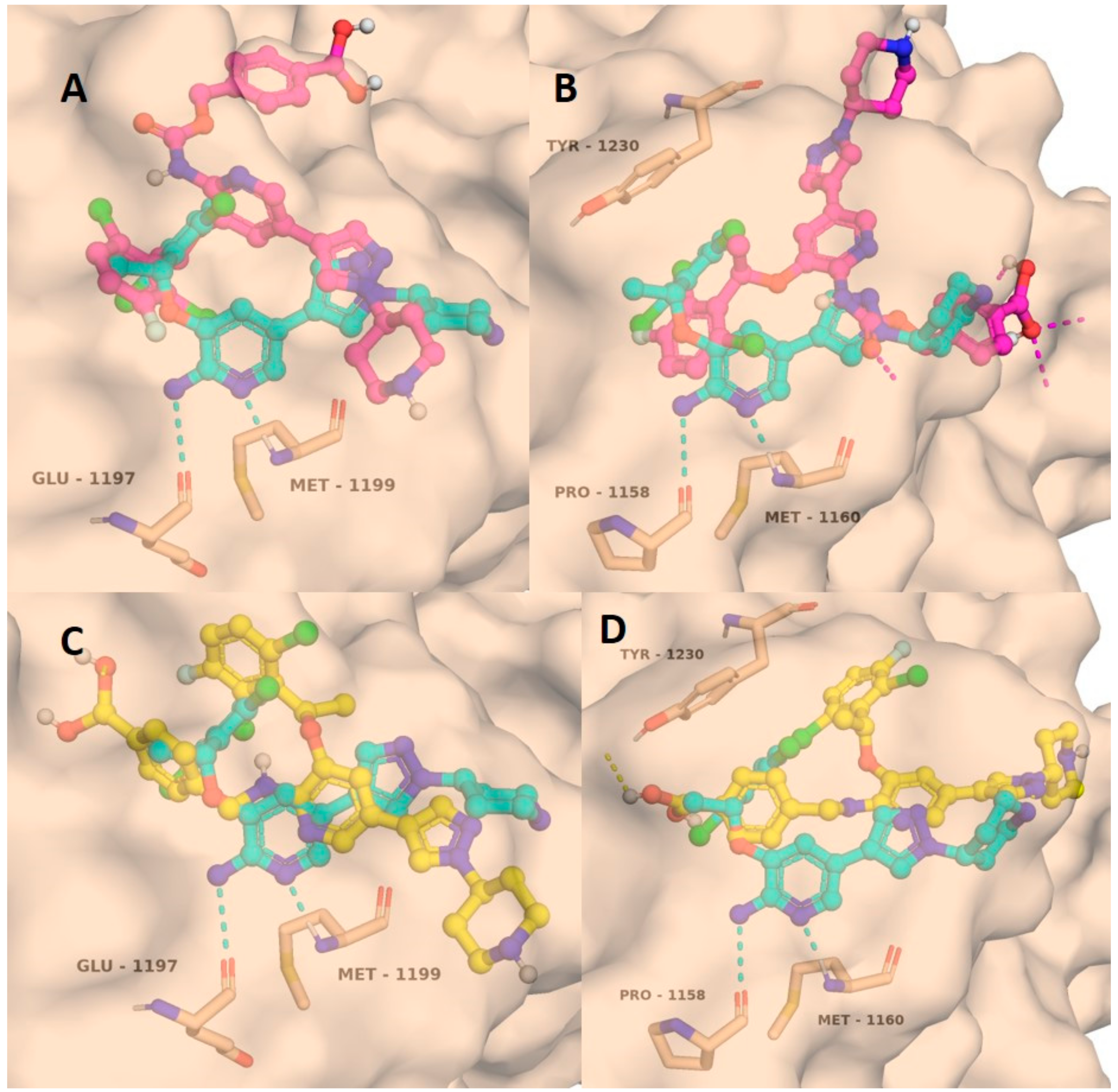 Molecules 25 01149 g001