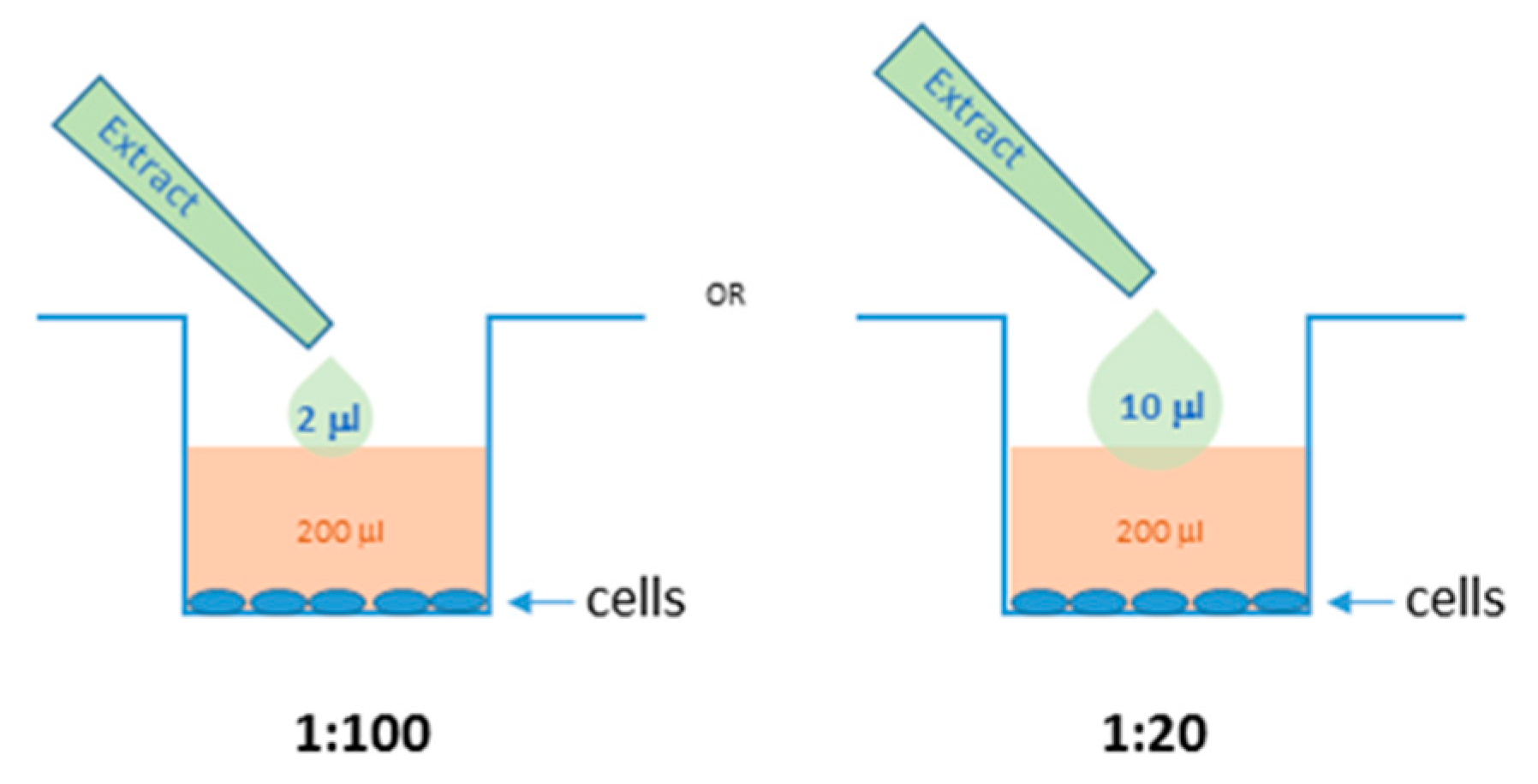 Molecules 25 01153 g009