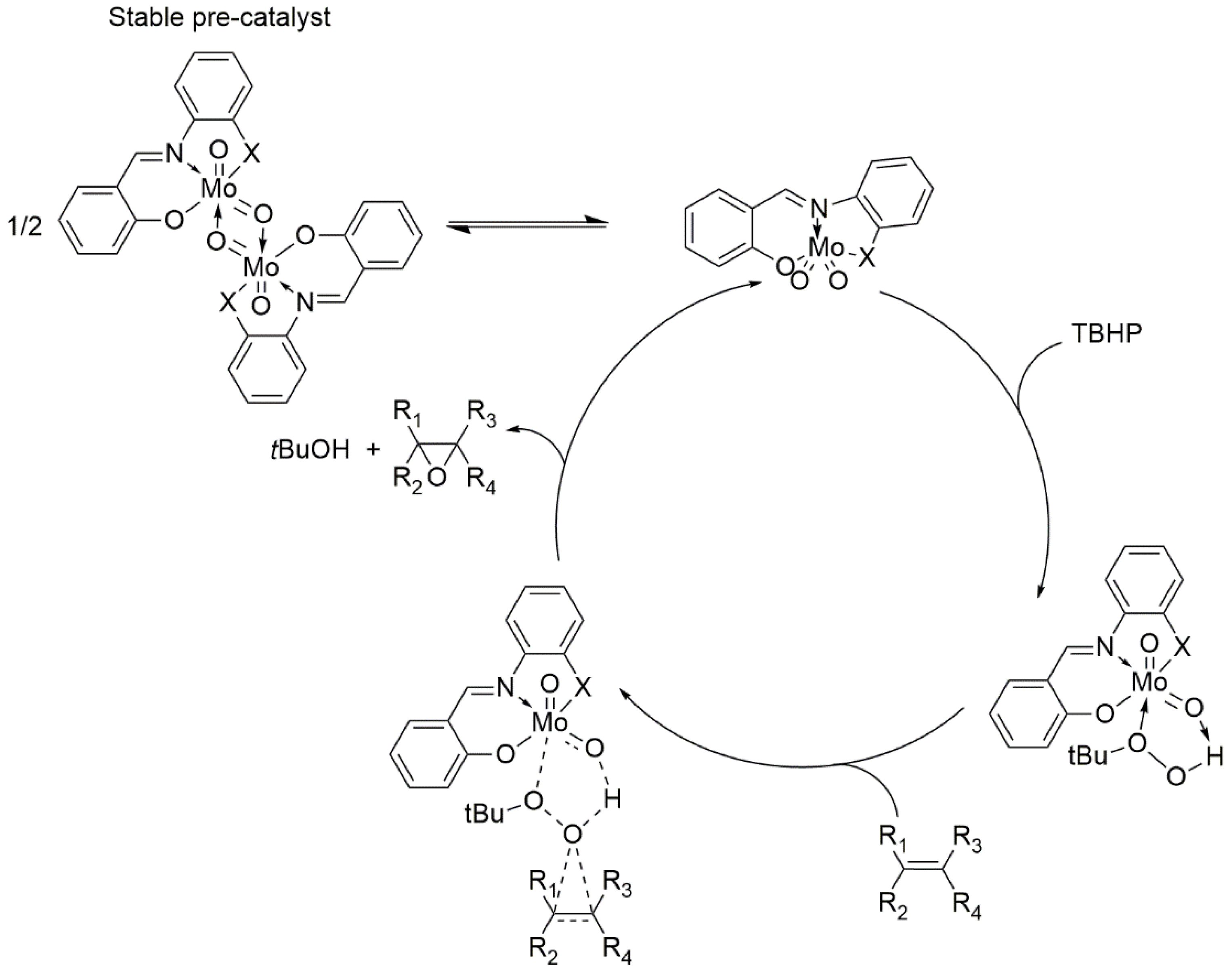 Molecules 25 01160 sch001