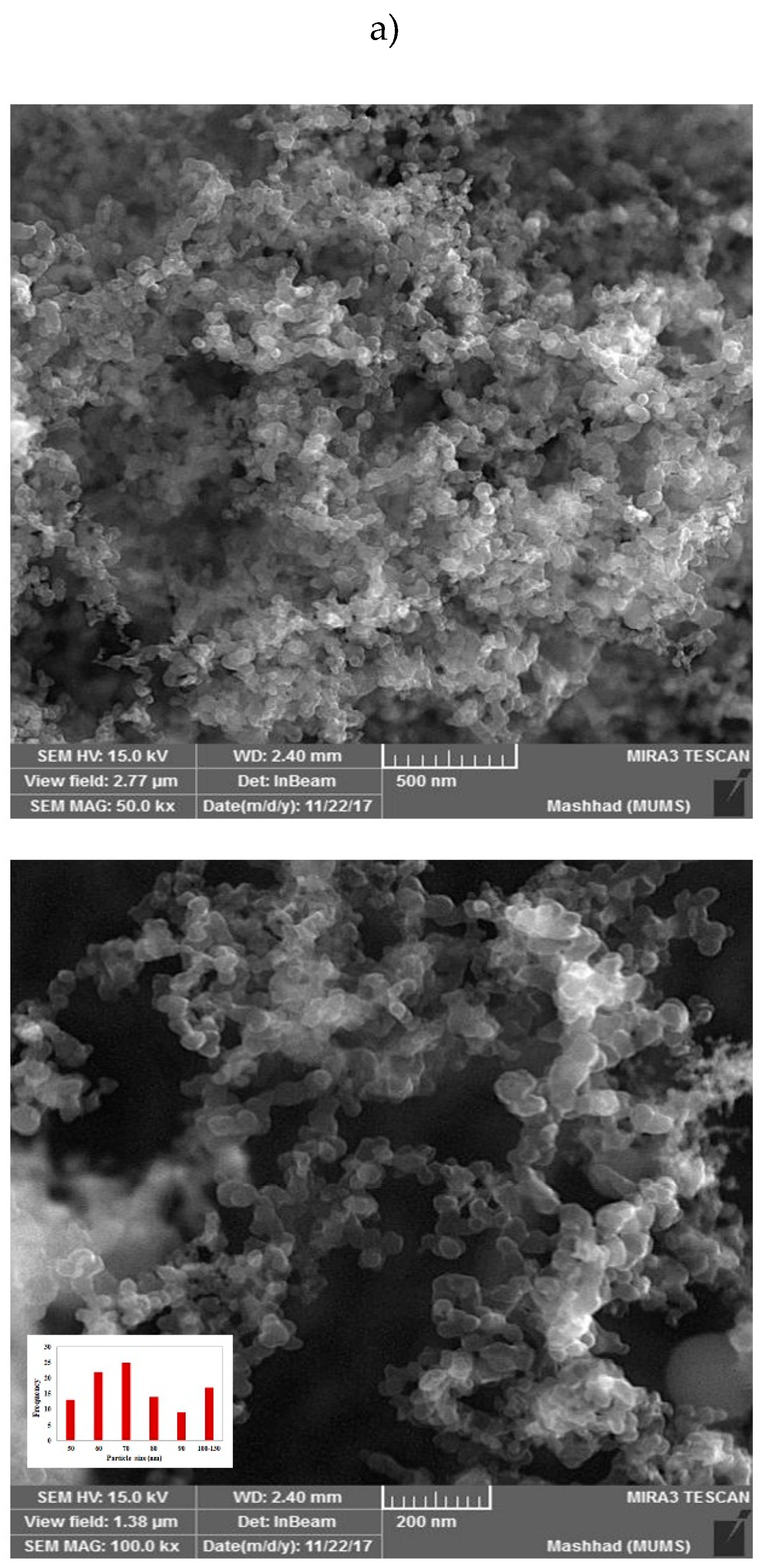 Molecules 25 01181 g003a Molecules 25 01181 g003a