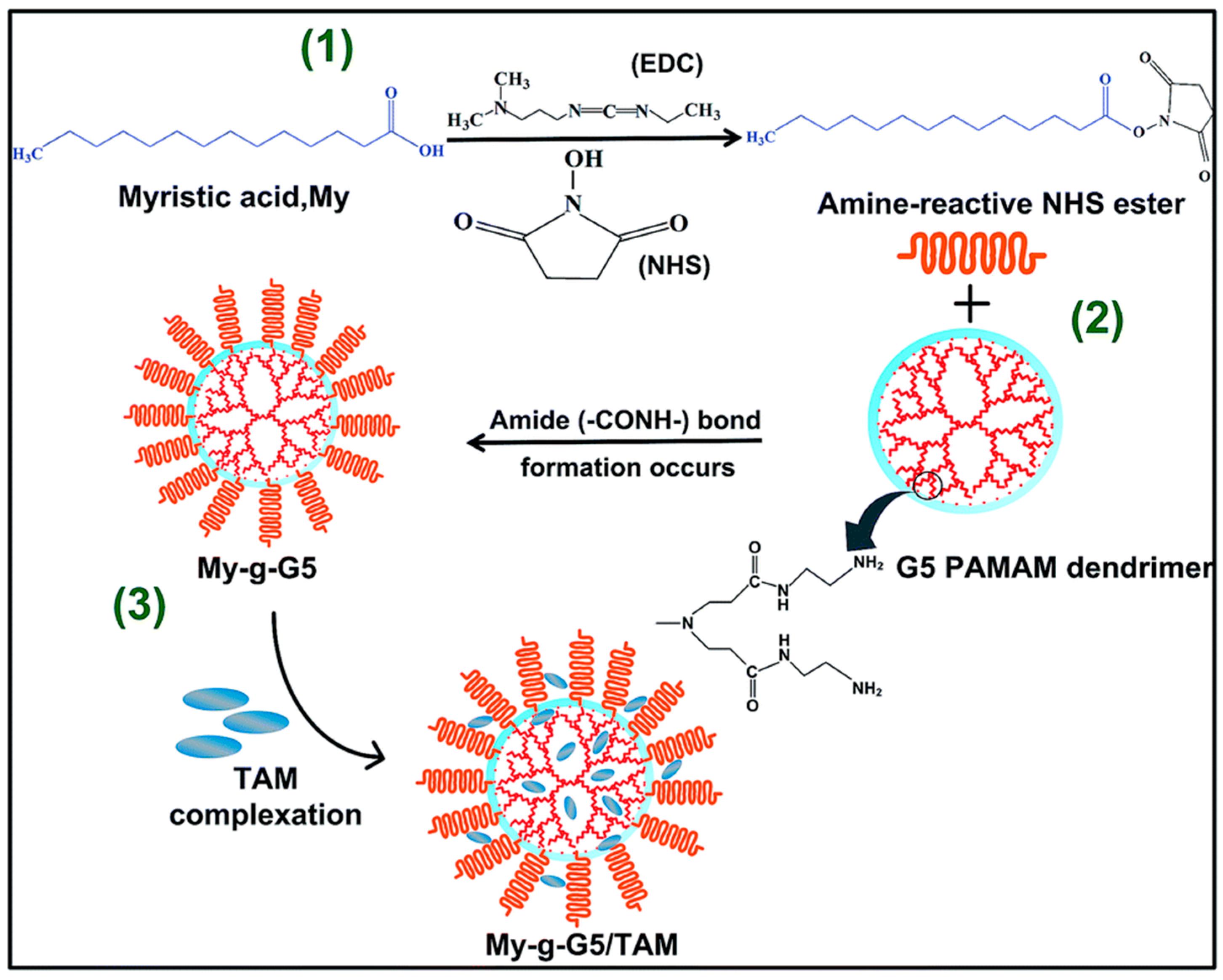 Molecules 25 01182 g005 Molecules 25 01182 g005