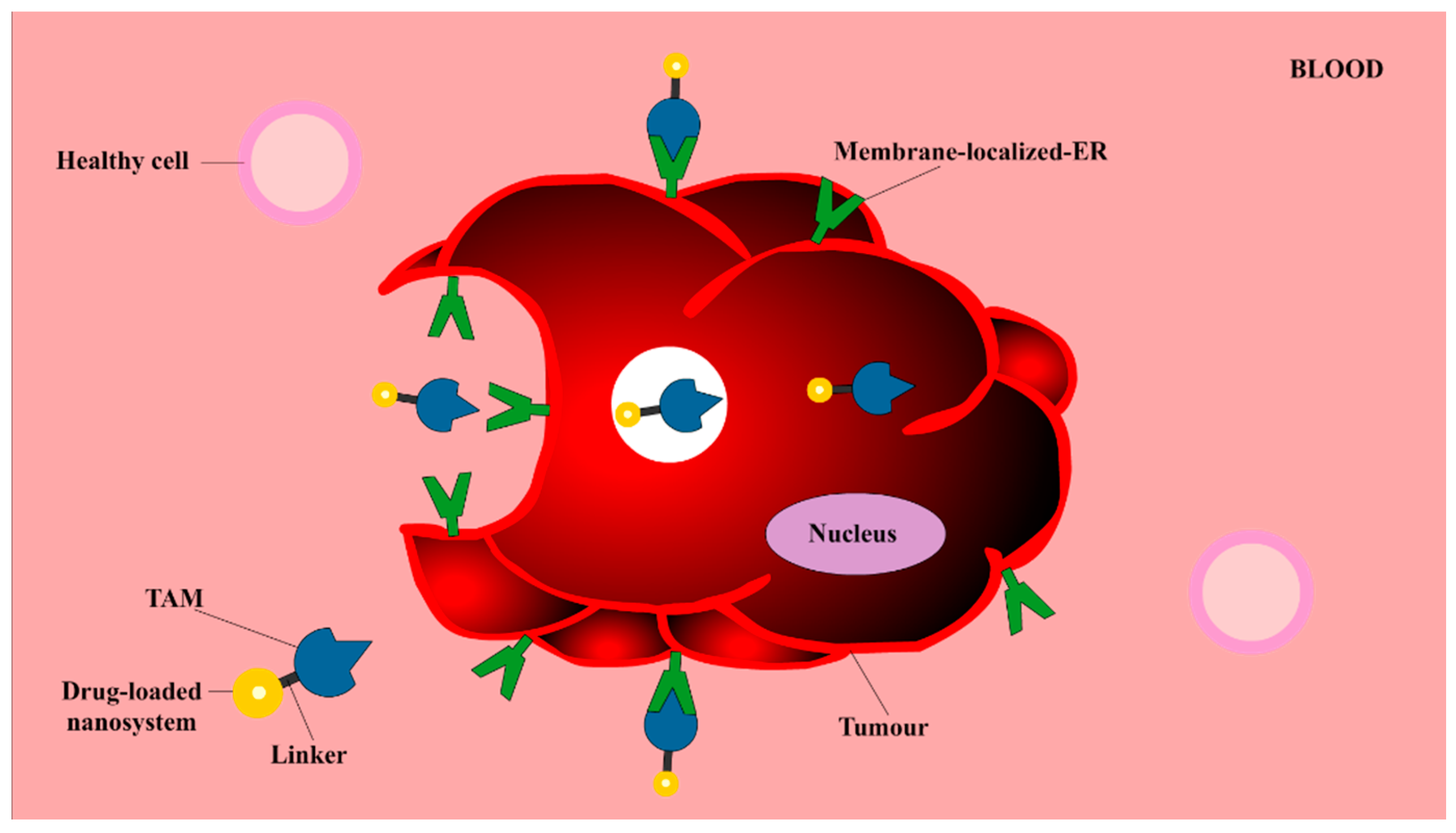 Molecules 25 01182 g007 Molecules 25 01182 g007