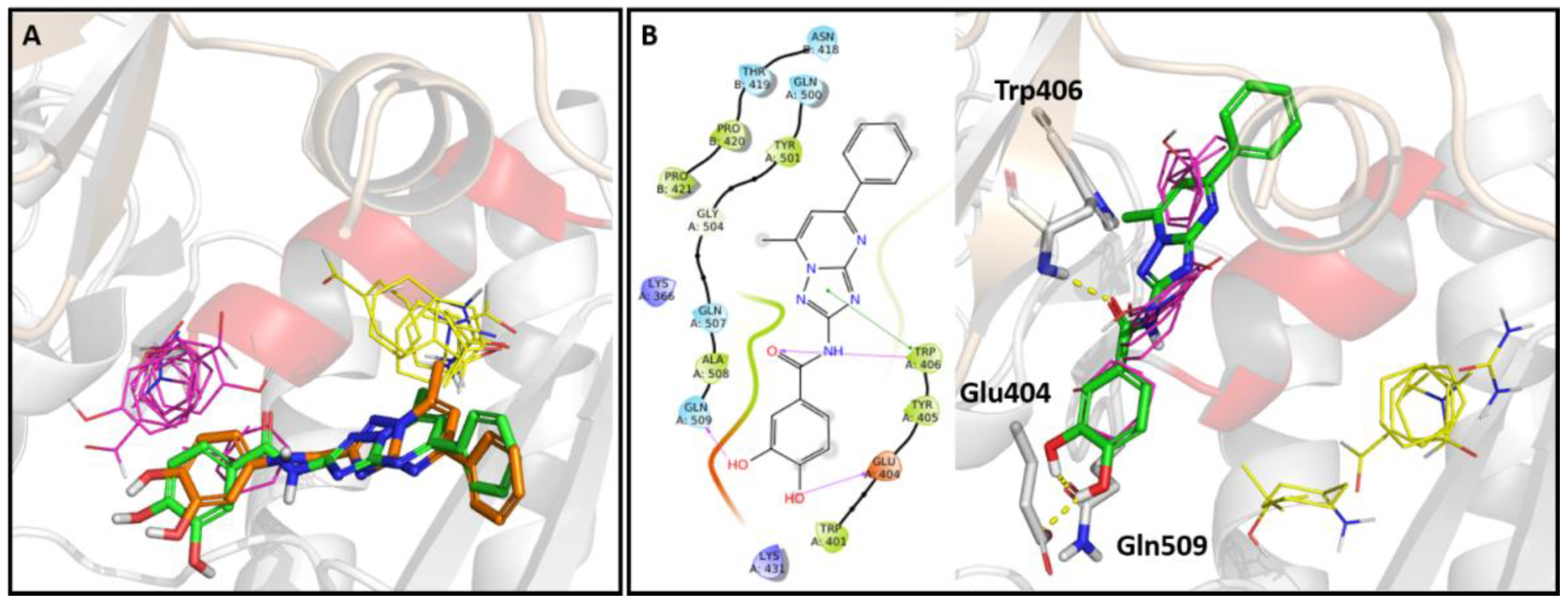 Molecules 25 01183 g006