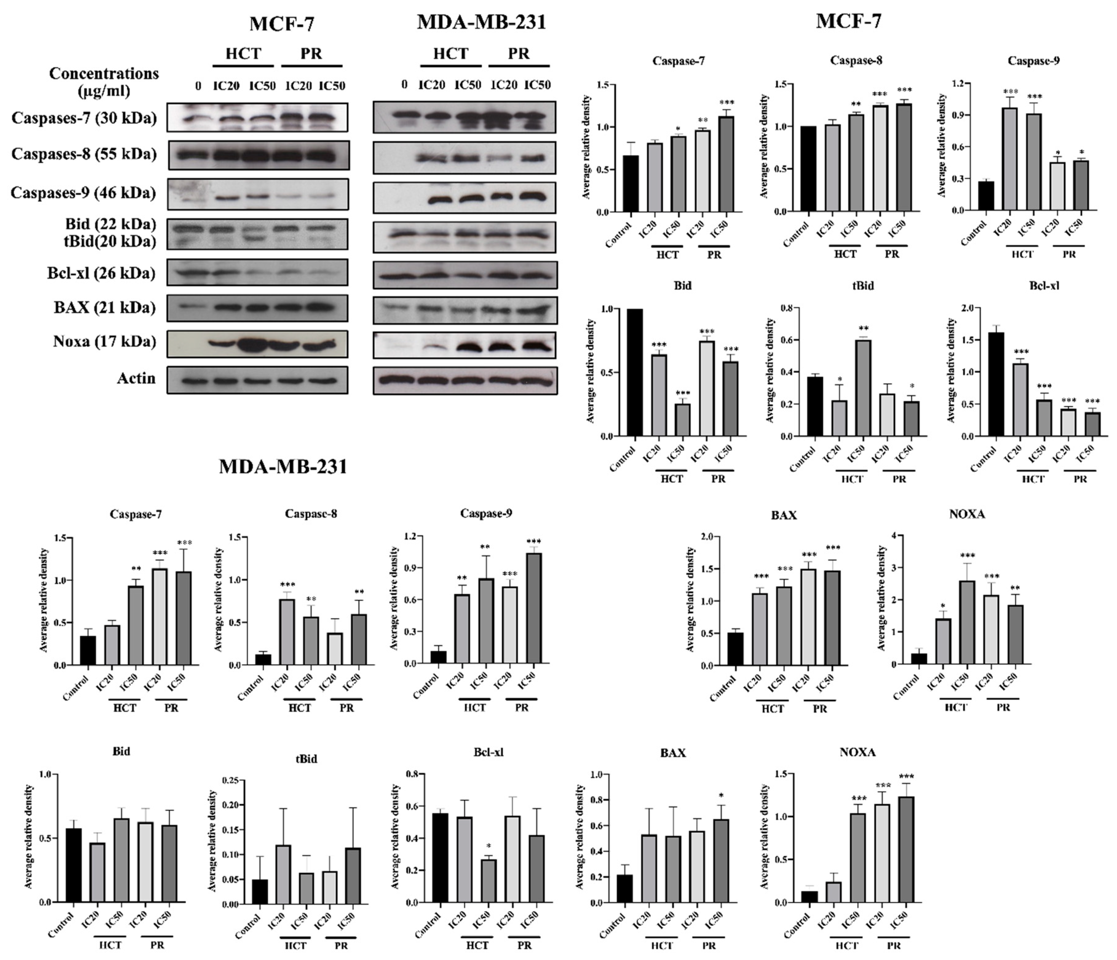Molecules 25 01196 g010
