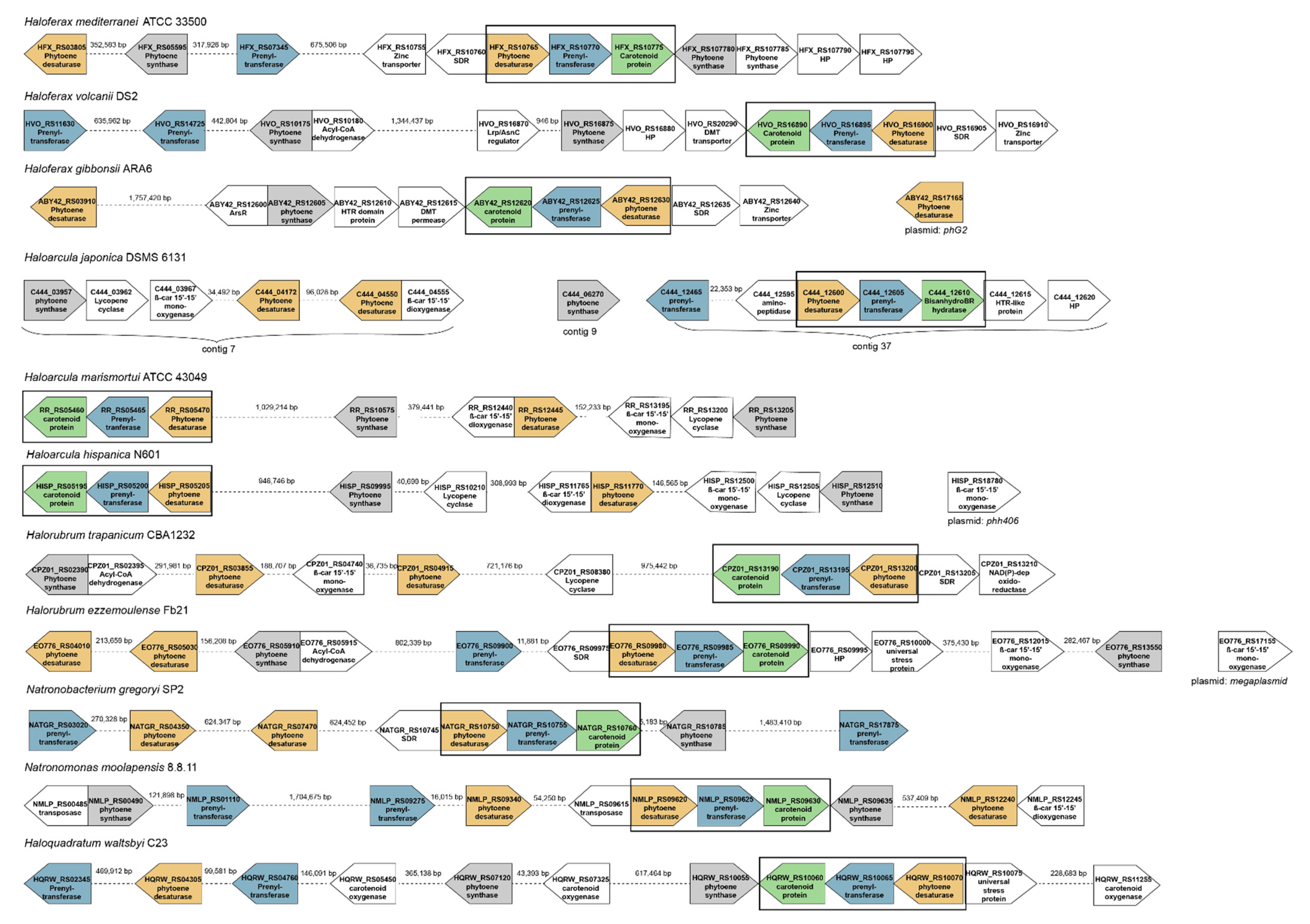 Molecules 25 01197 g003 Molecules 25 01197 g003