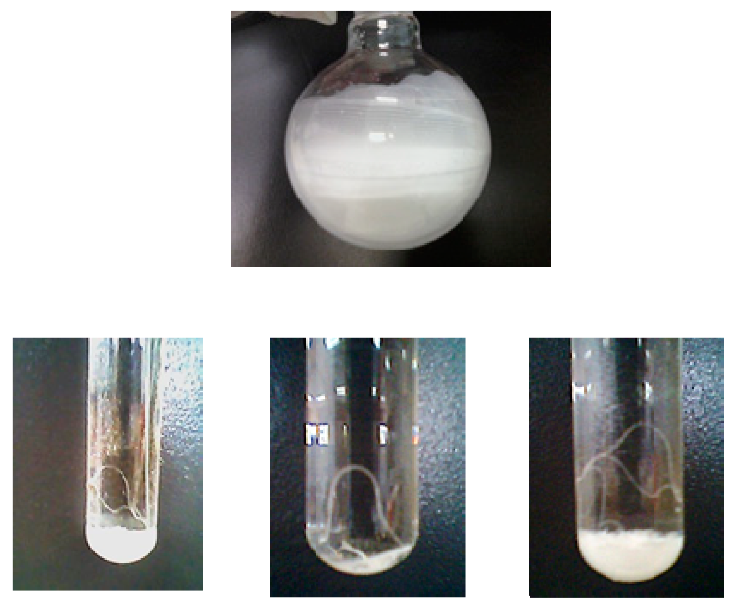 Molecules 25 01213 g008 Molecules 25 01213 g008