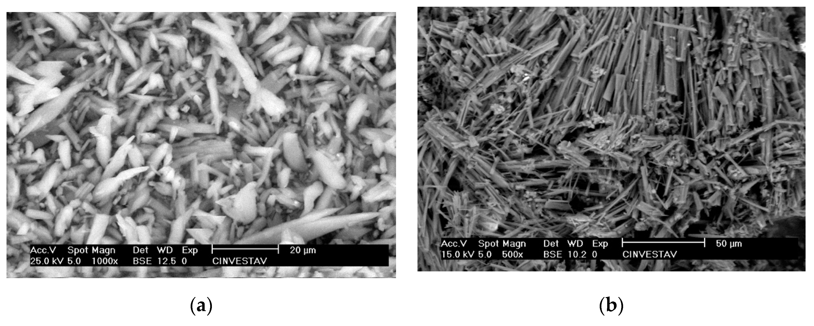 Molecules 25 01213 g009 Molecules 25 01213 g009