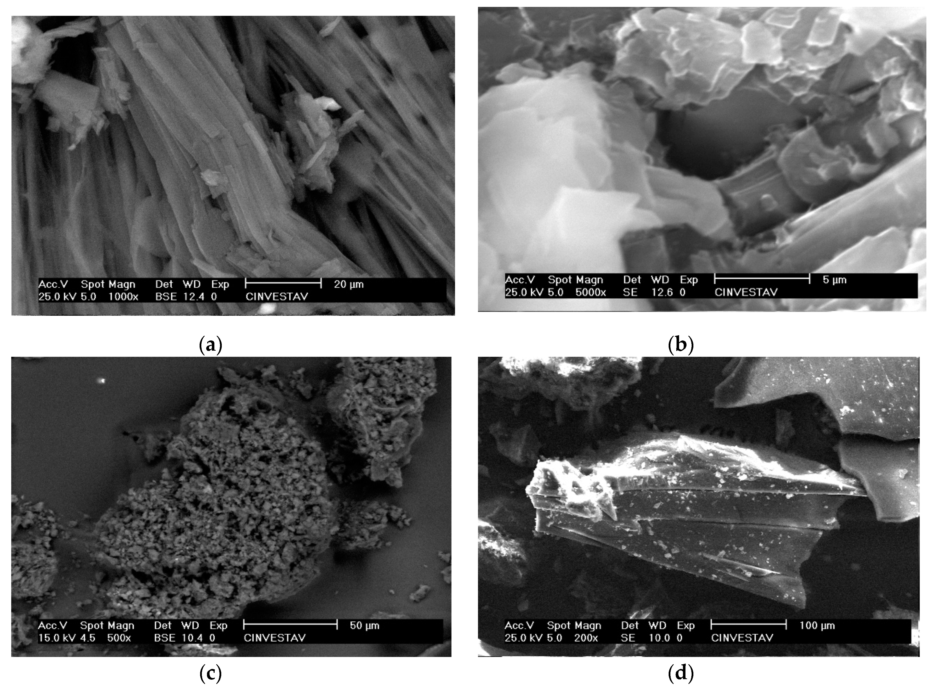 Molecules 25 01213 g010 Molecules 25 01213 g010