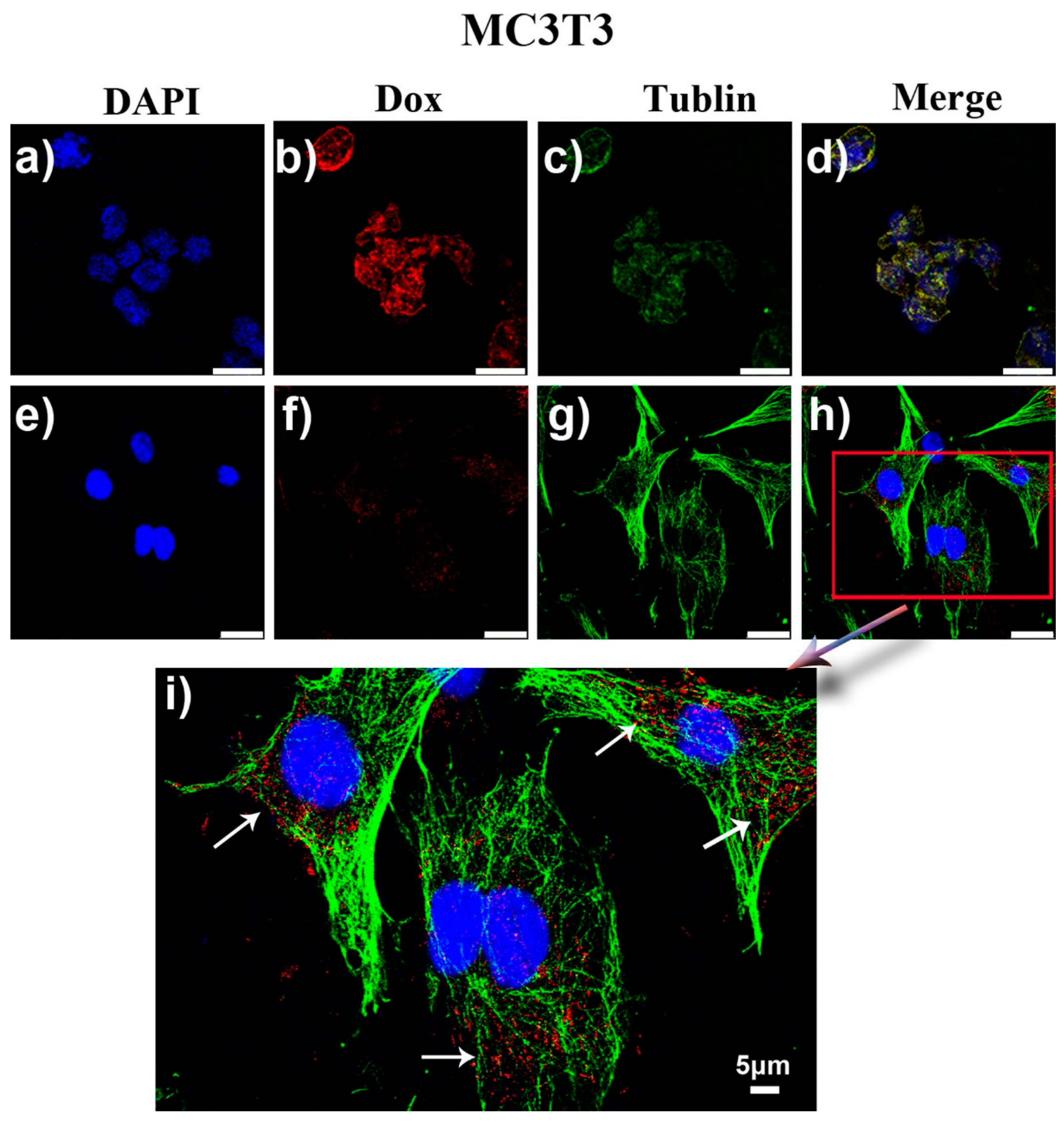 Molecules 25 01221 g007