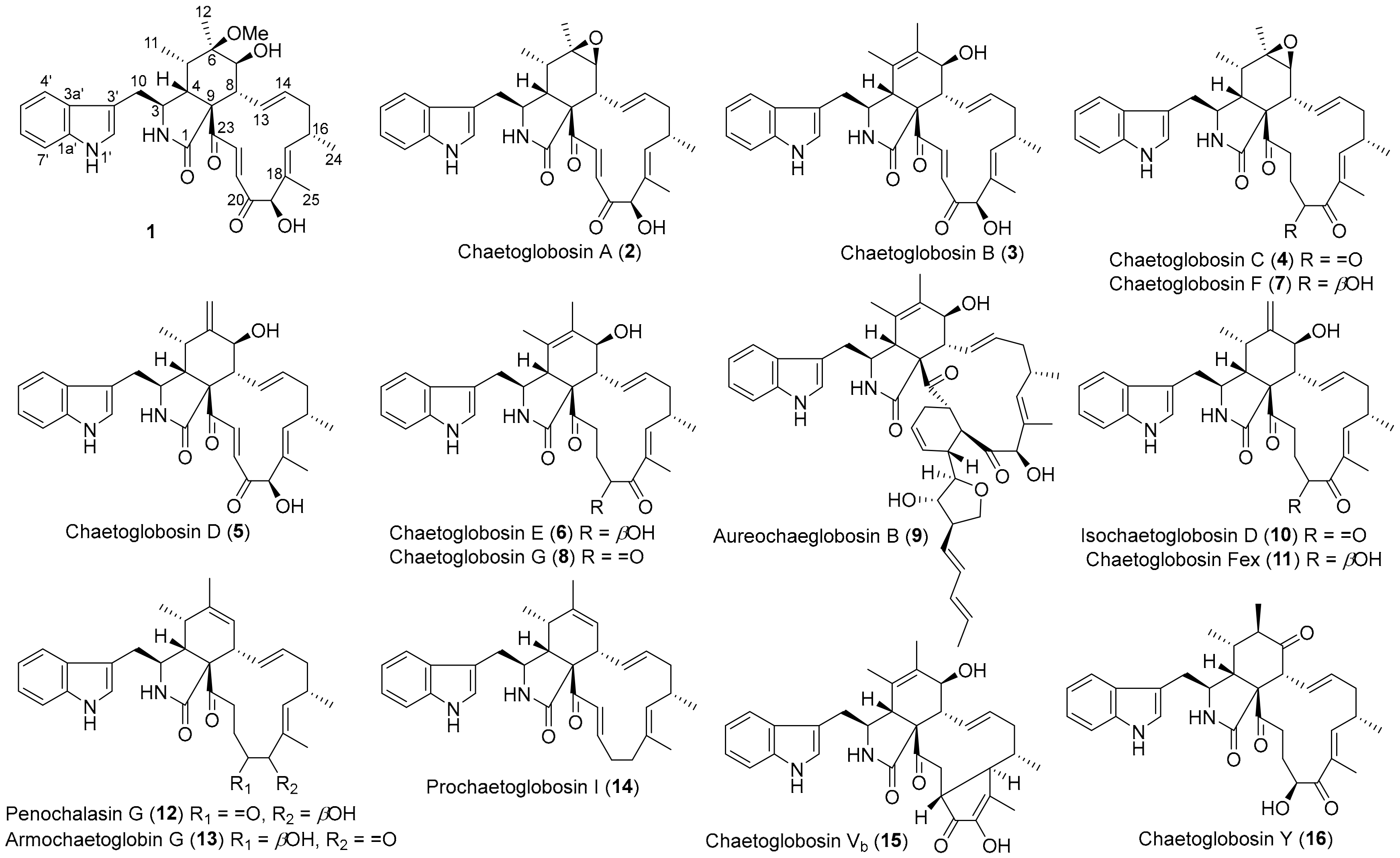 Molecules 25 01237 g001