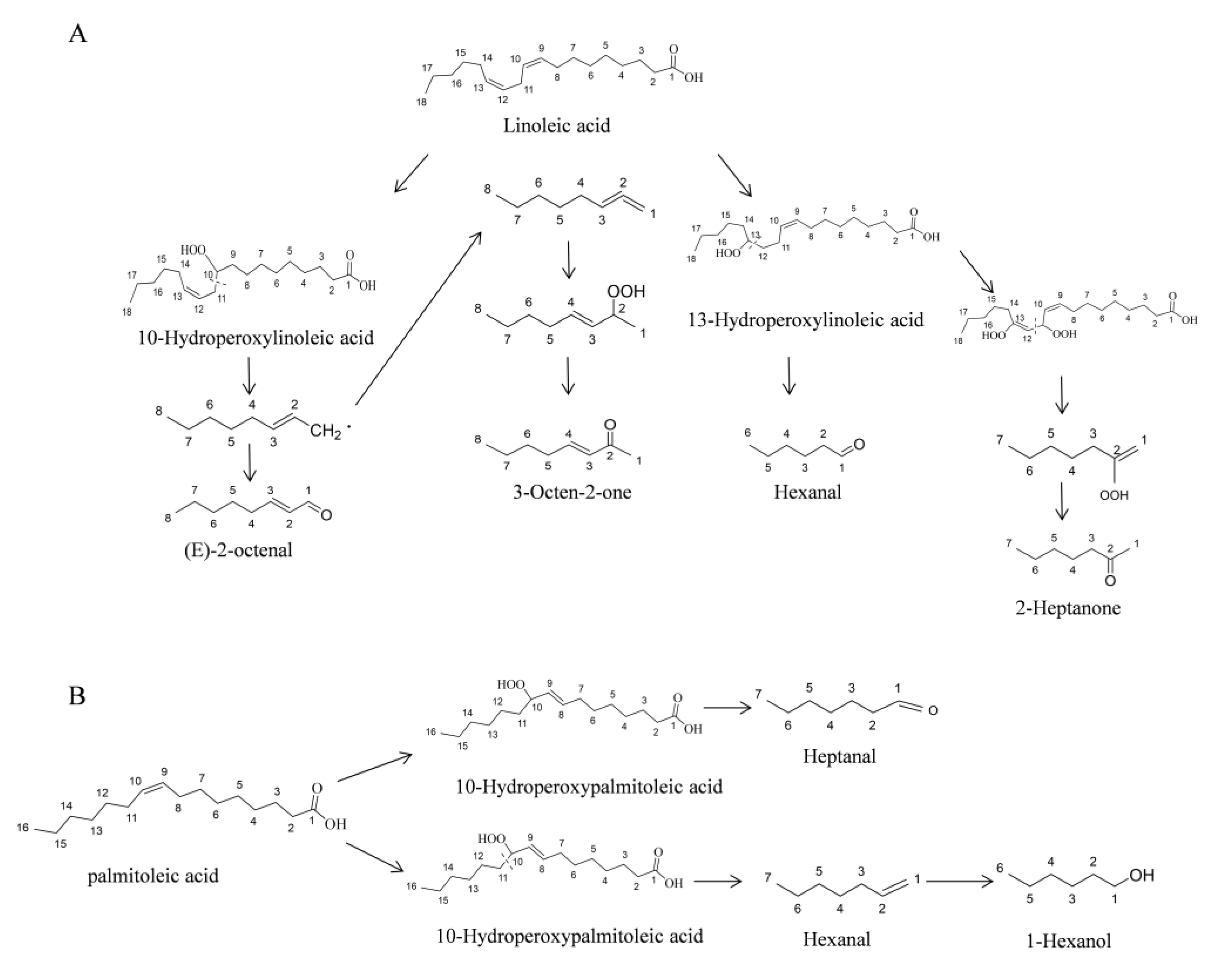 Molecules 25 01238 g005 Molecules 25 01238 g005