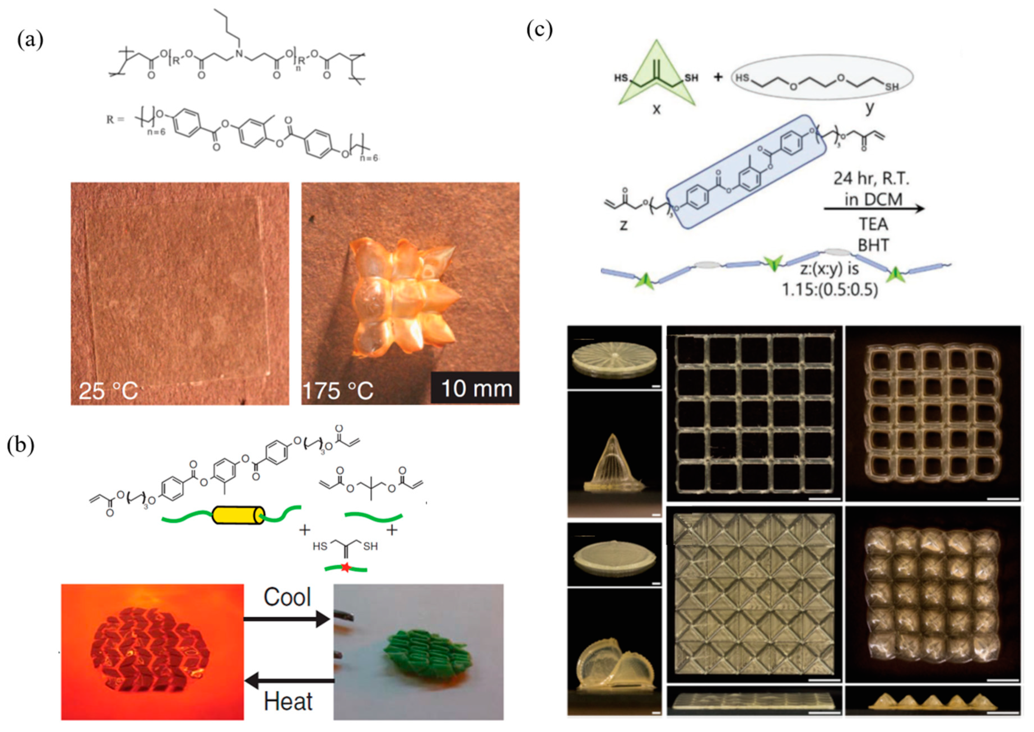 Molecules Free FullText A Review on Liquid Crystal Polymers in