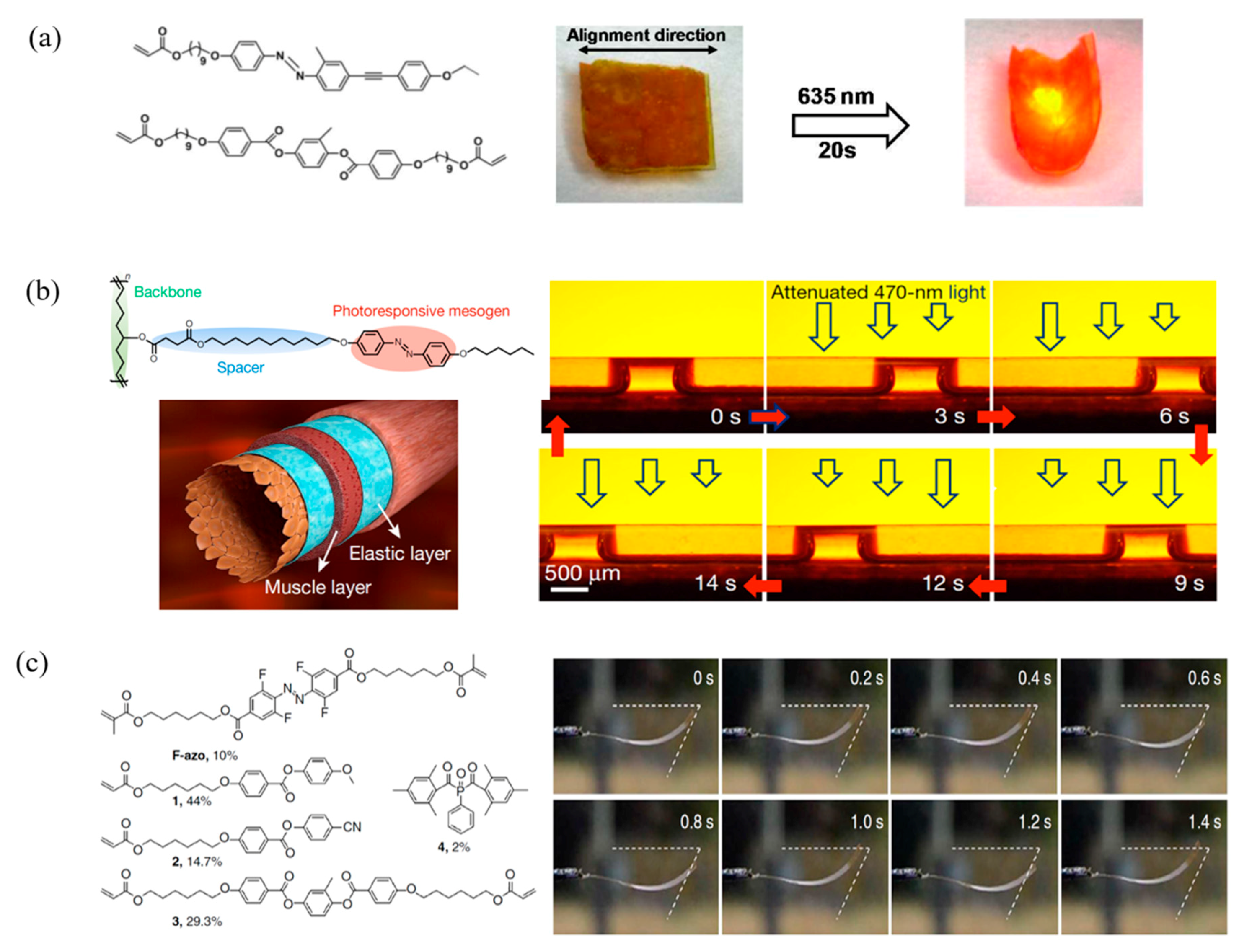 Molecules Free FullText A Review on Liquid Crystal Polymers in