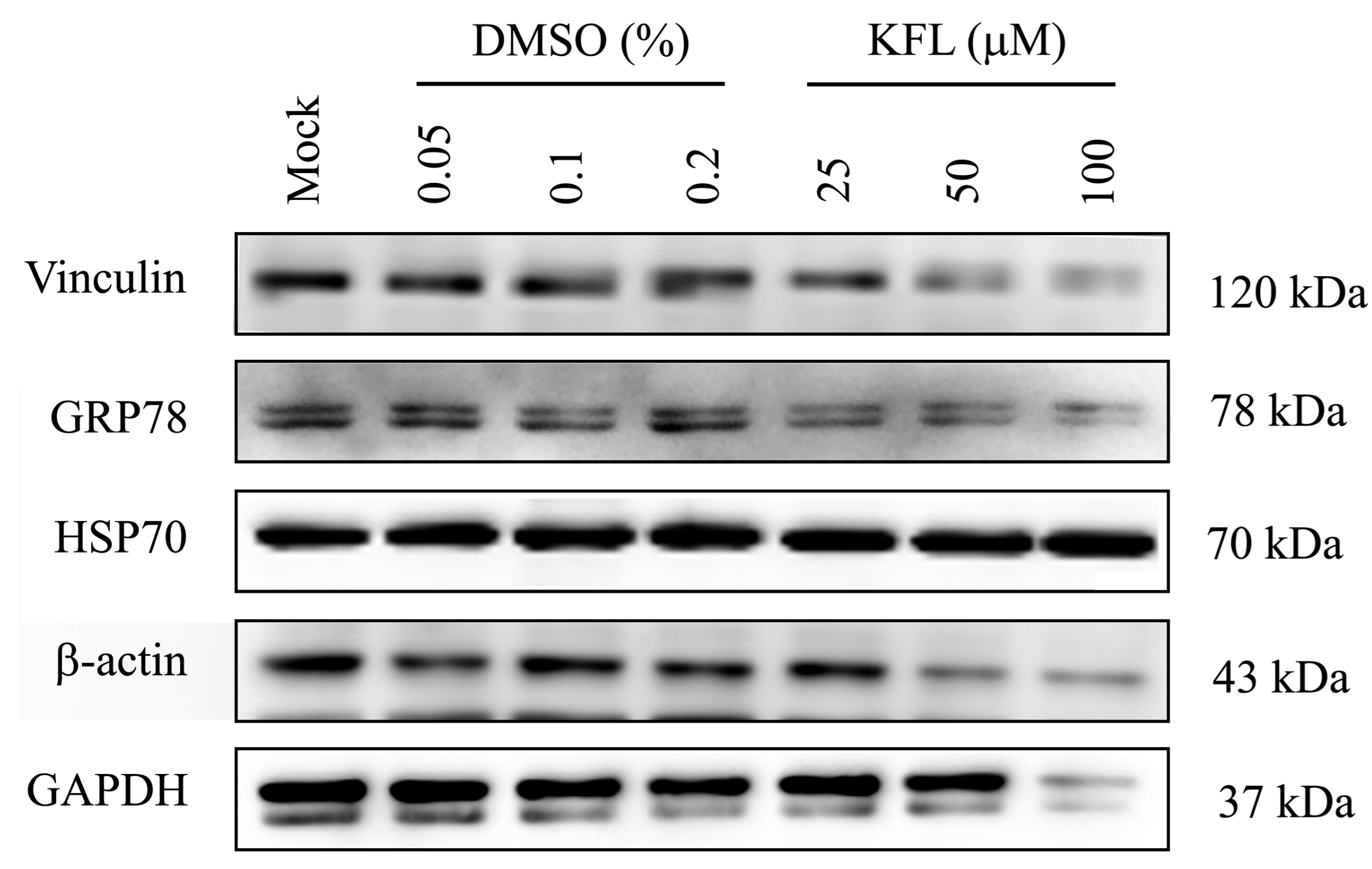Molecules 25 01246 g006 Molecules 25 01246 g006