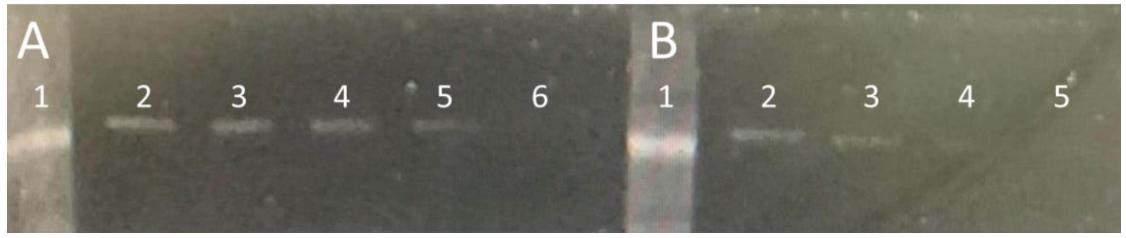 Molecules 25 01248 g006