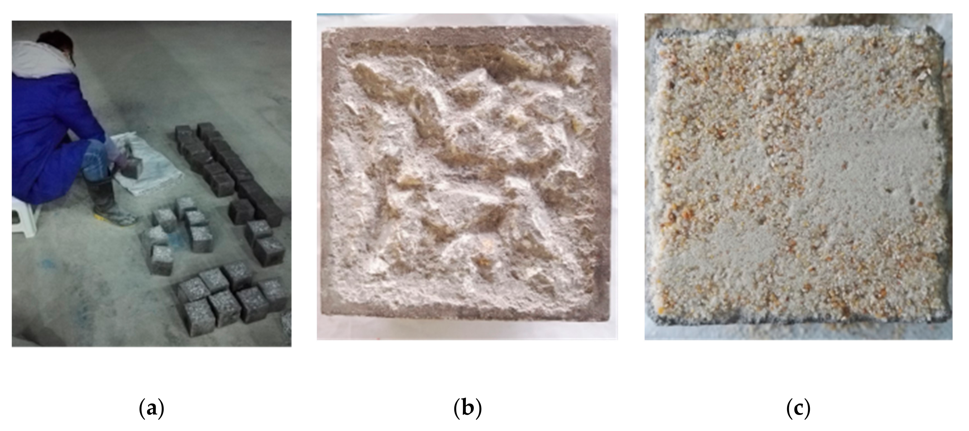 Molecules 25 01251 g011