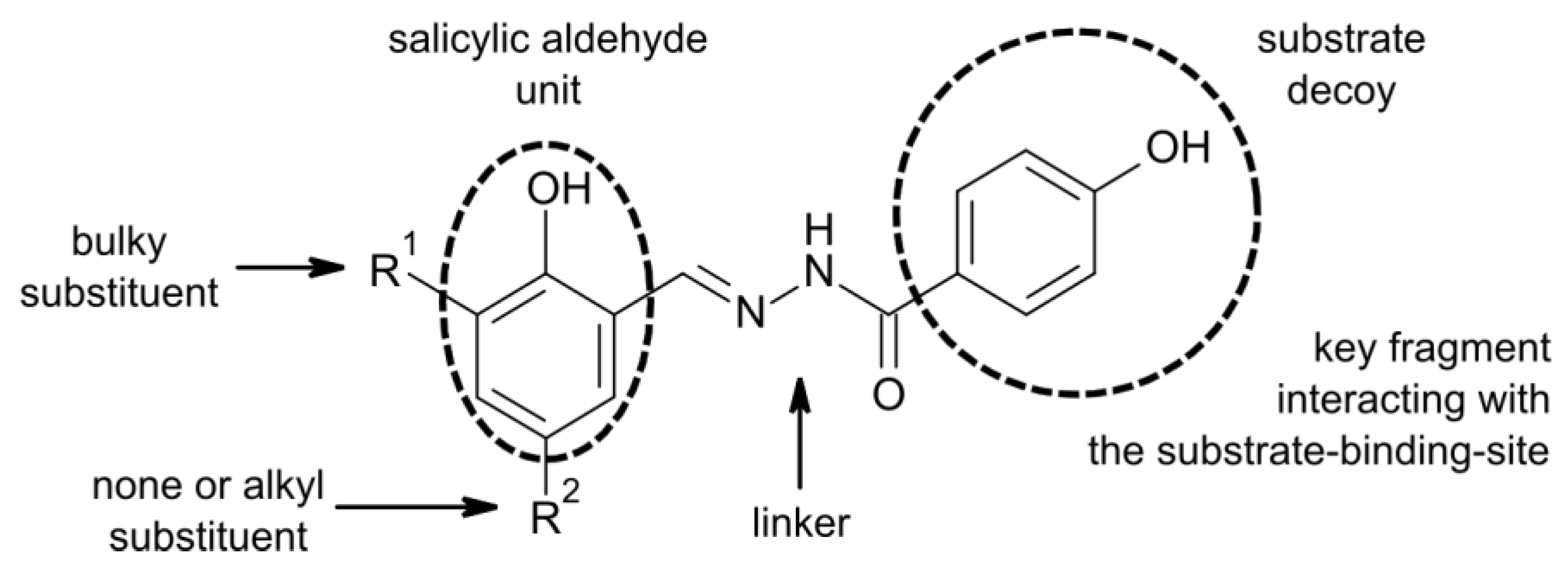 Molecules 25 01255 g003 Molecules 25 01255 g003