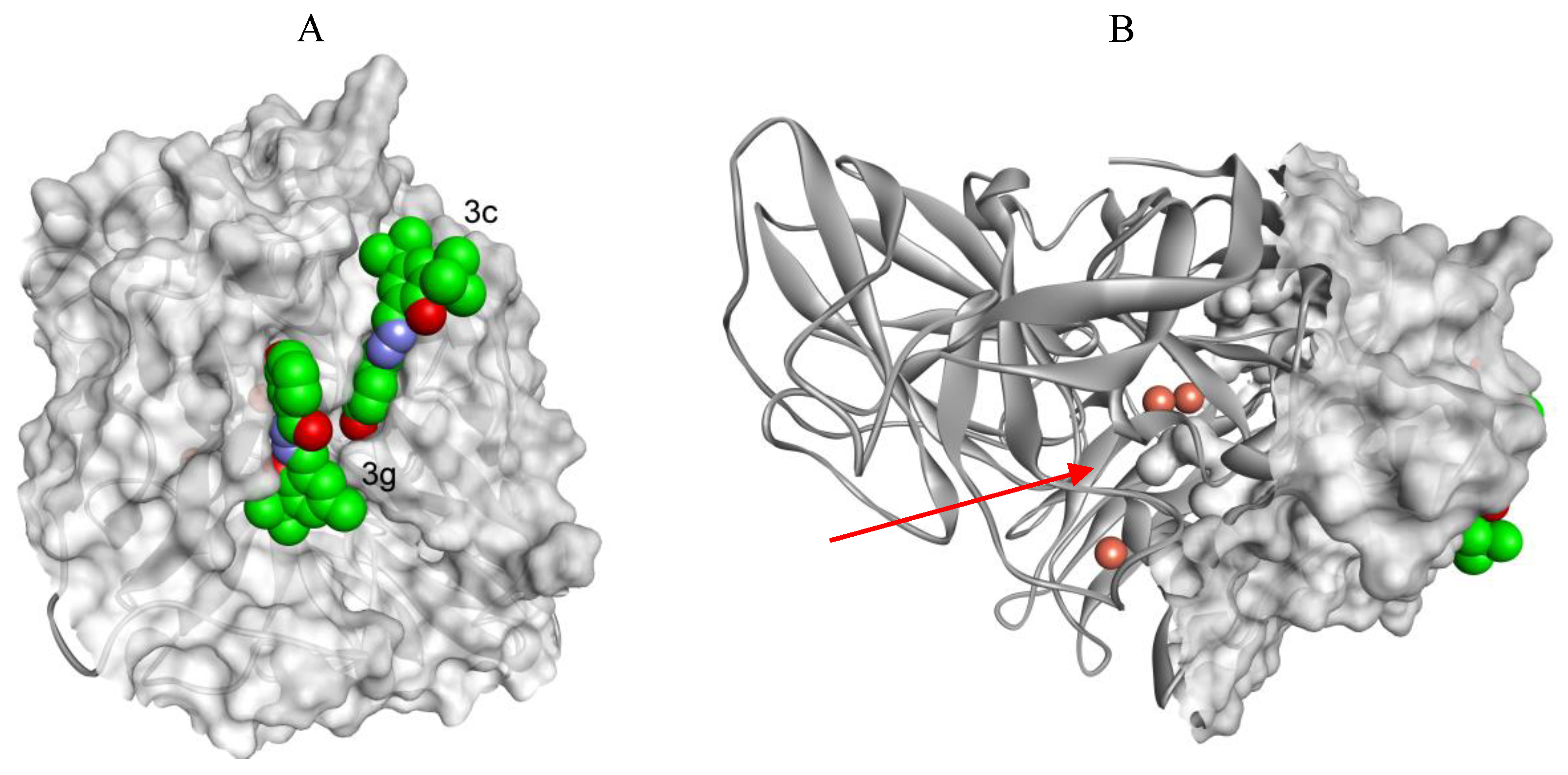 Molecules 25 01255 g006 Molecules 25 01255 g006