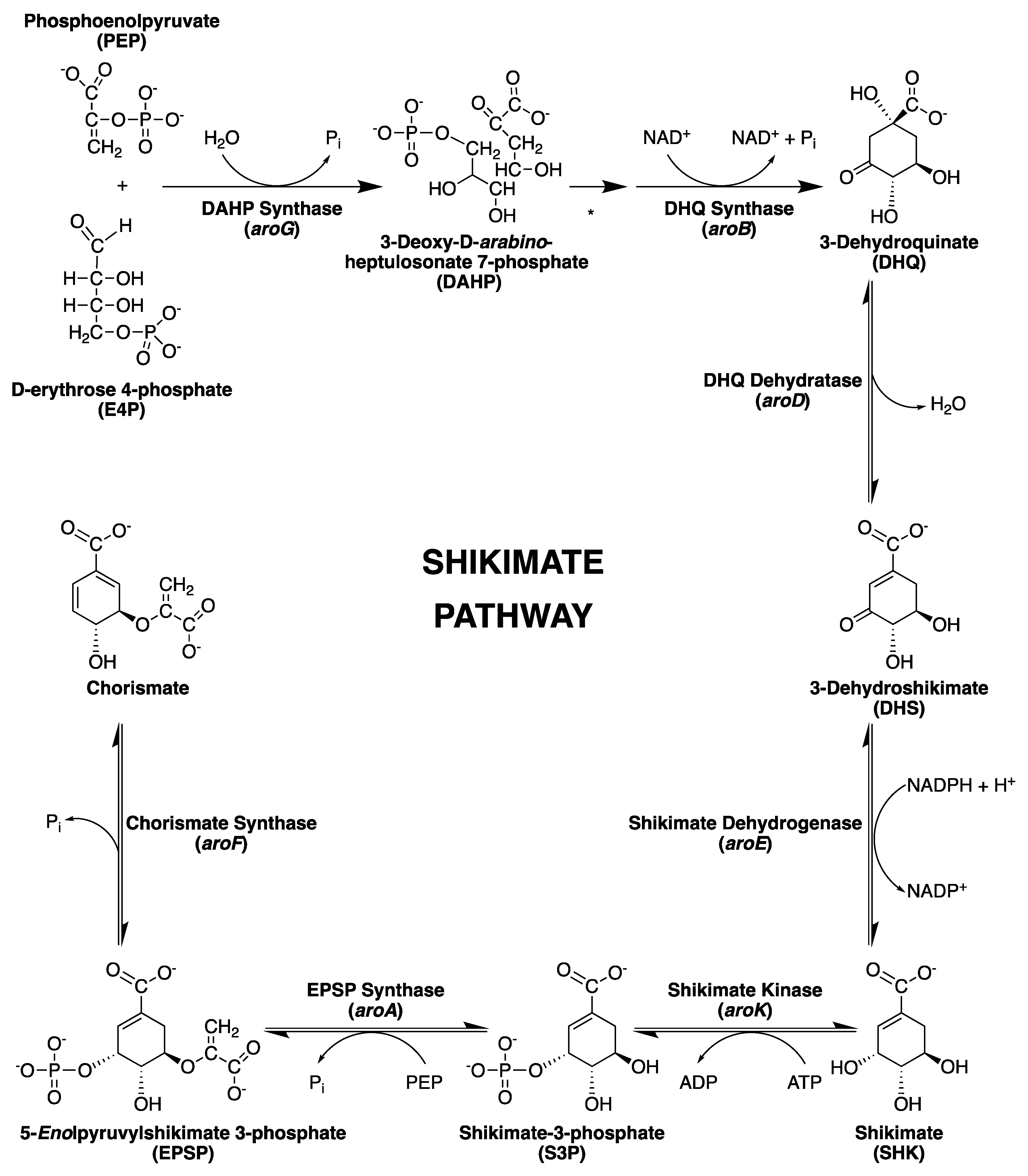 https://www.mdpi.com/molecules/molecules-25-01259/article_deploy/html/images/molecules-25-01259-g001.png