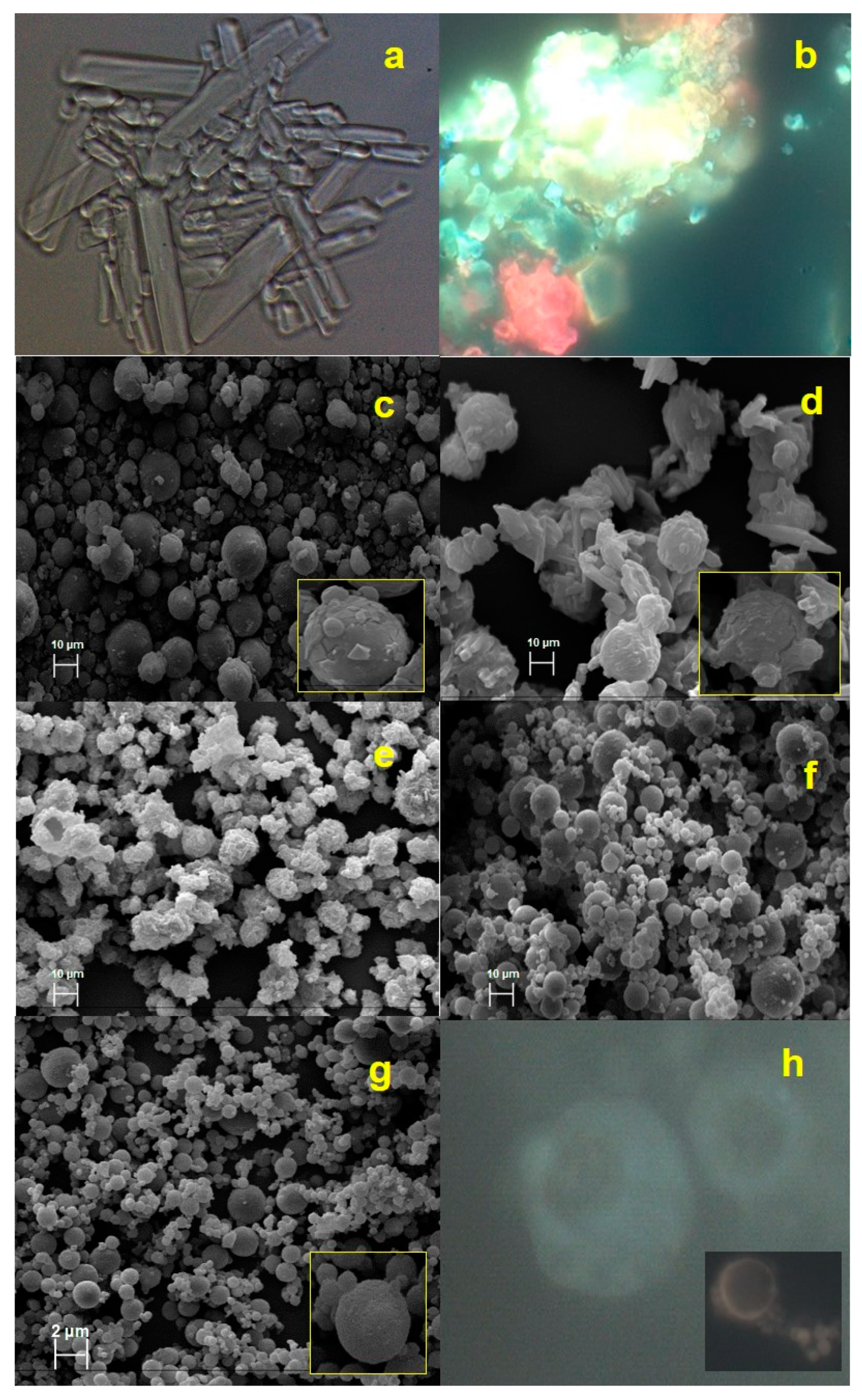 Molecules 25 01273 g001 Molecules 25 01273 g001