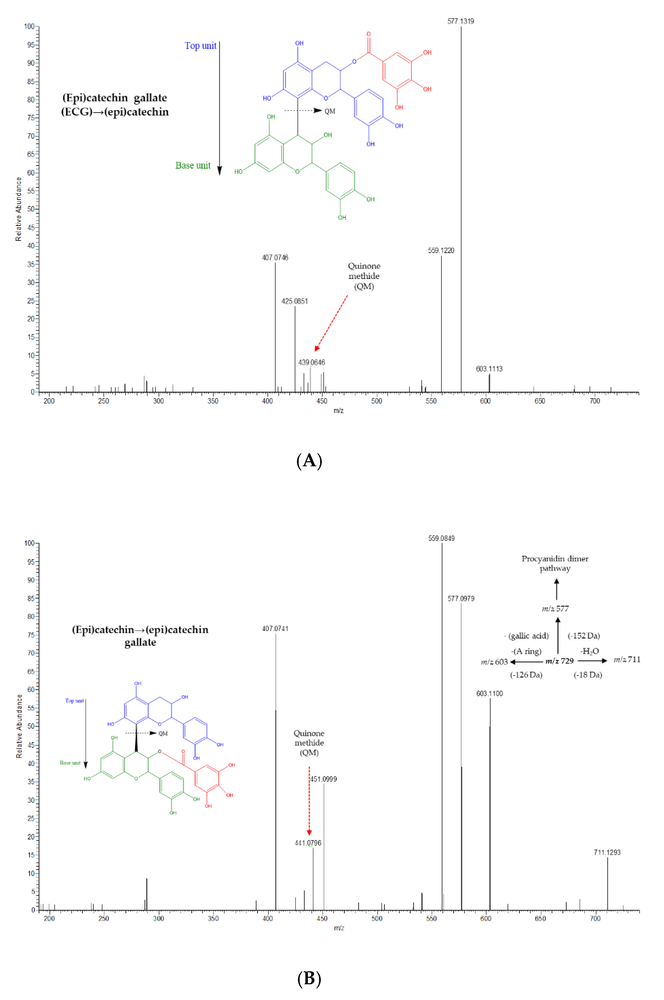 Molecules 25 01281 g002 Molecules 25 01281 g002