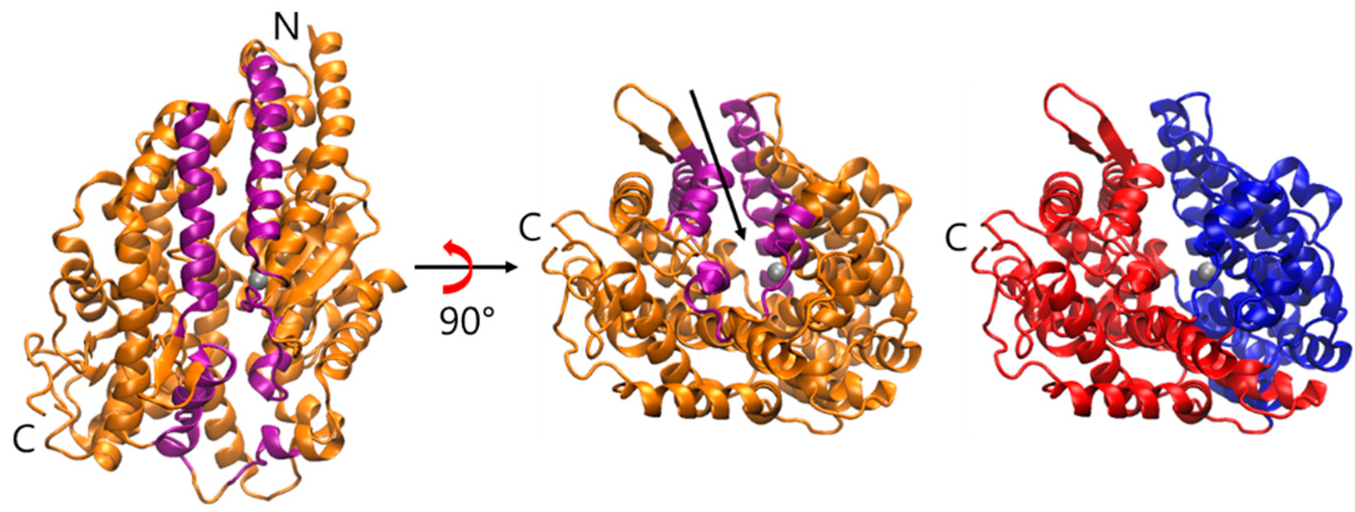 Molecules 25 01288 g001 Molecules 25 01288 g001
