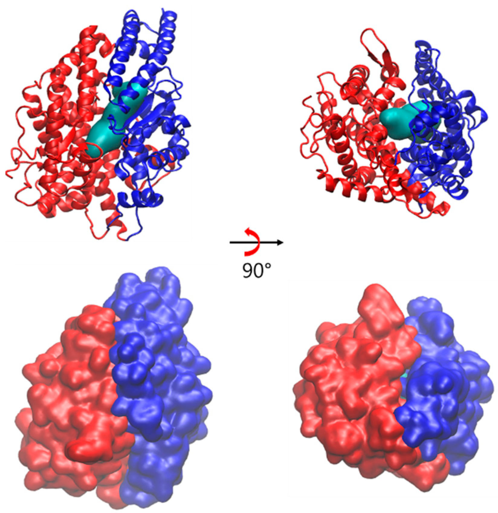 Molecules 25 01288 g006 Molecules 25 01288 g006
