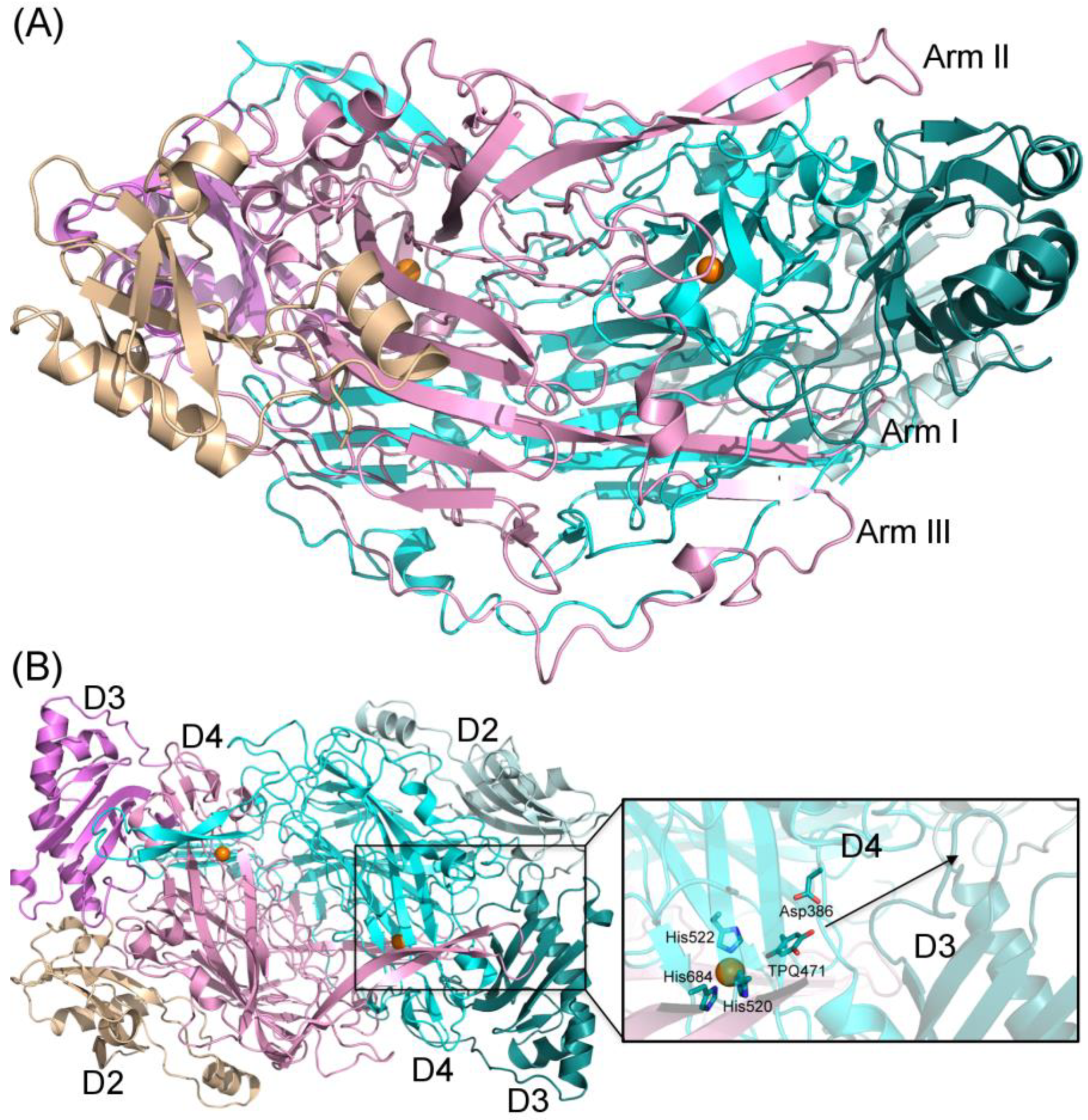 Molecules 25 01293 g001