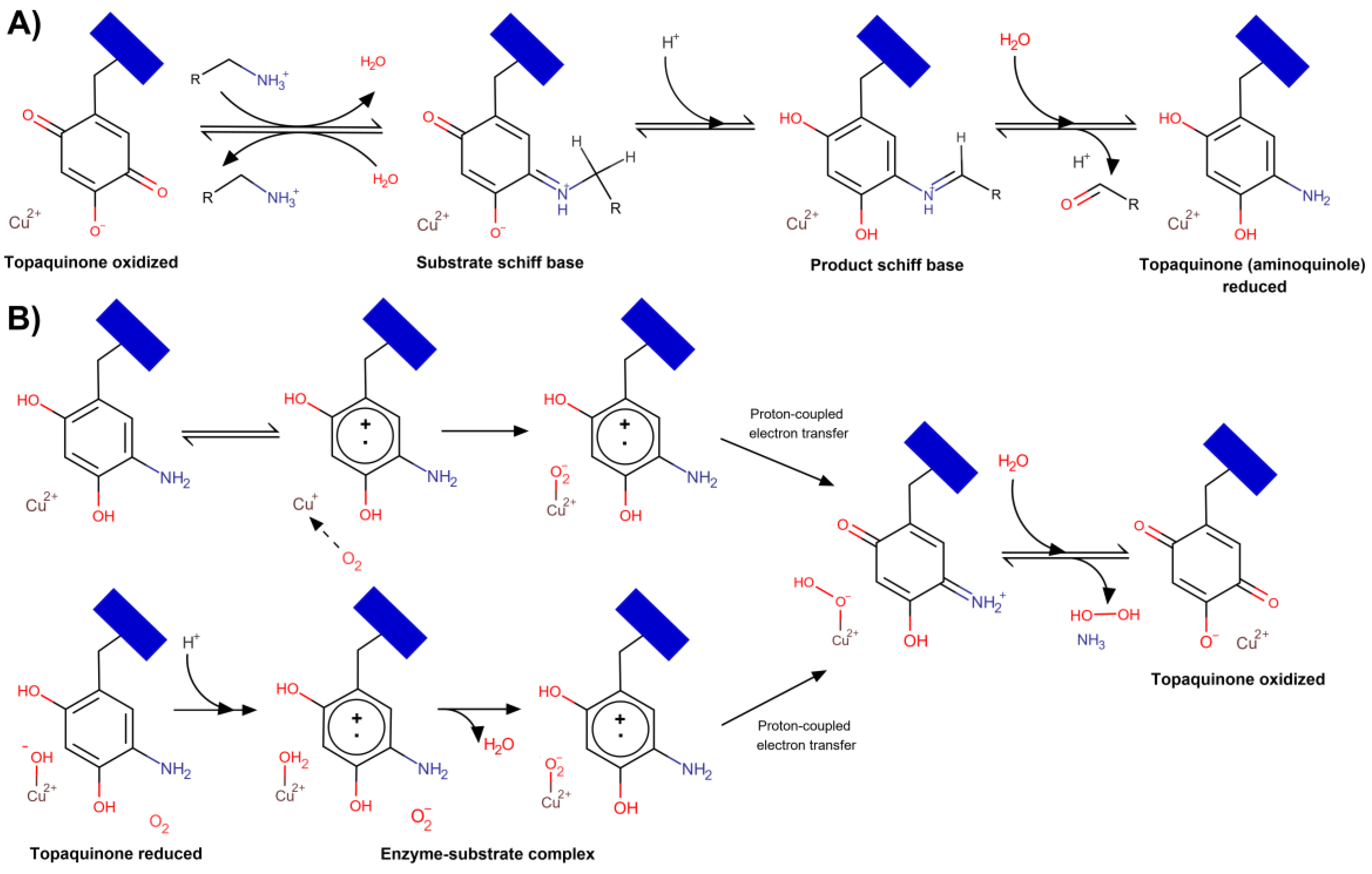 Molecules 25 01293 g002