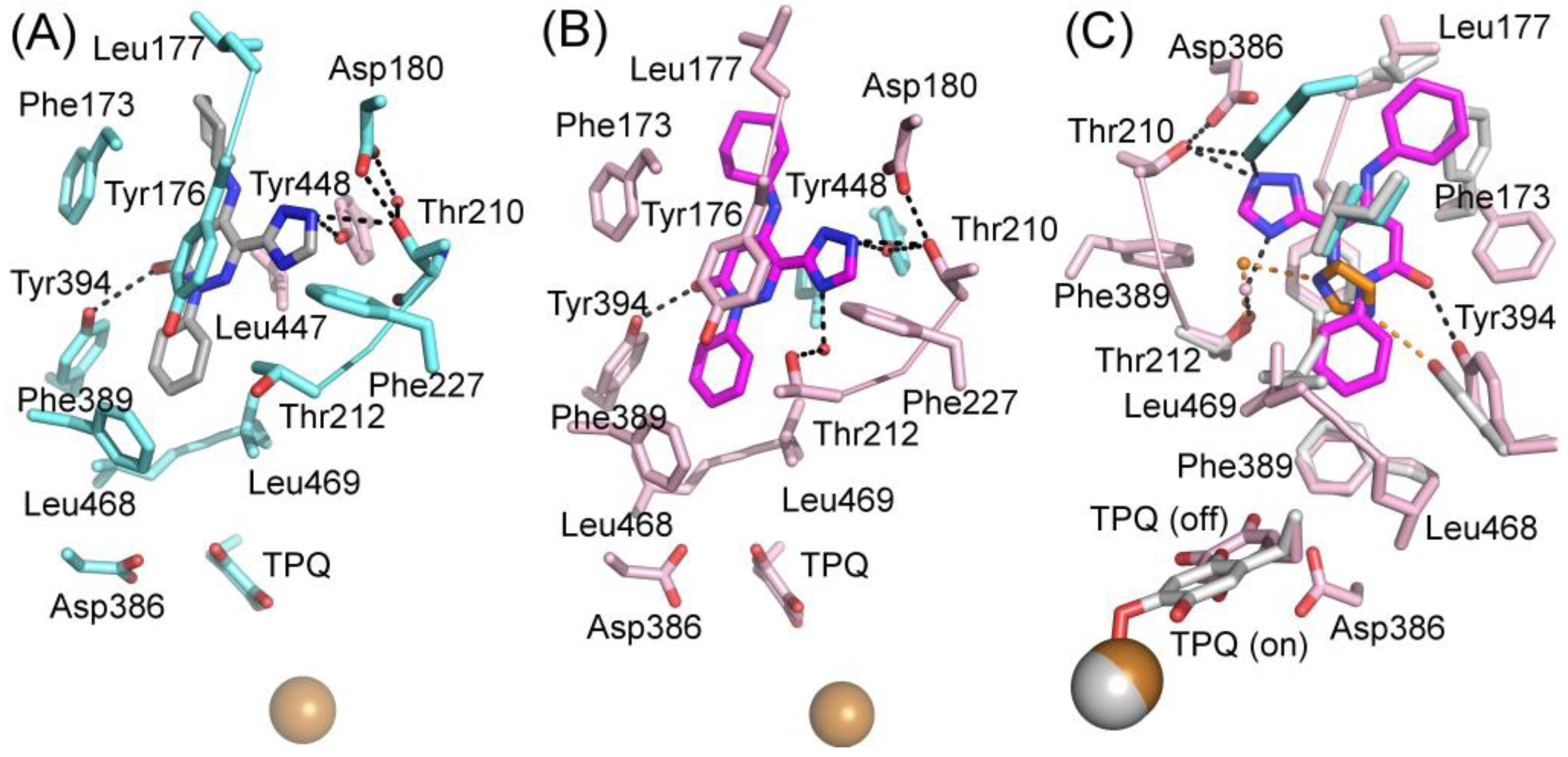 Molecules 25 01293 g005