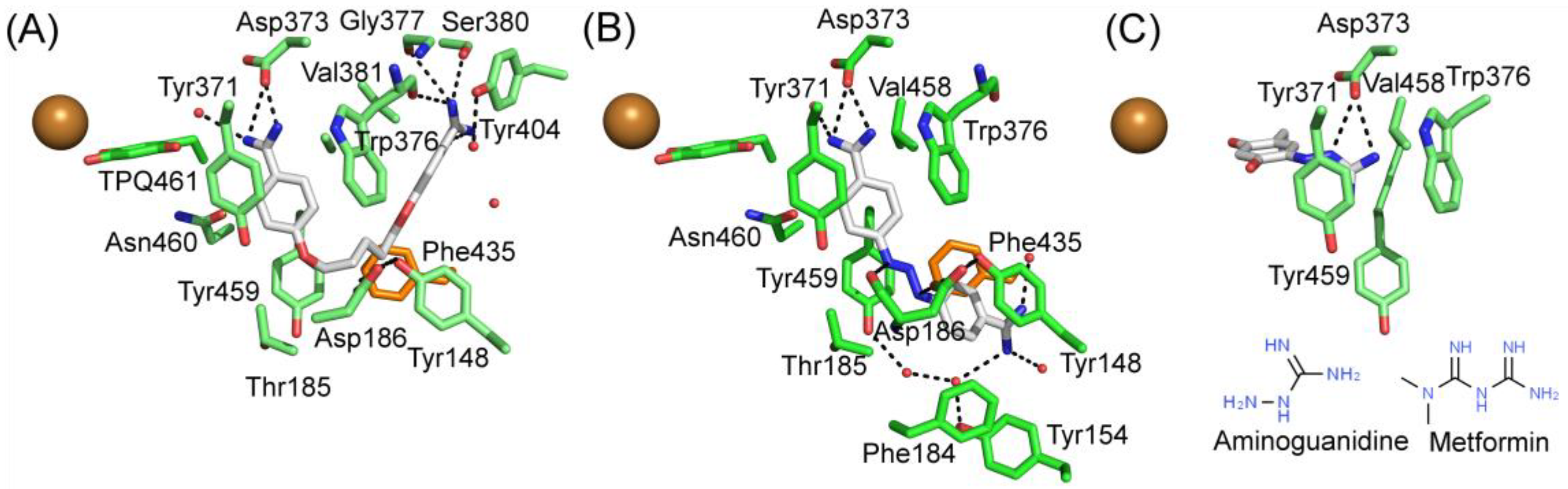 Molecules 25 01293 g006