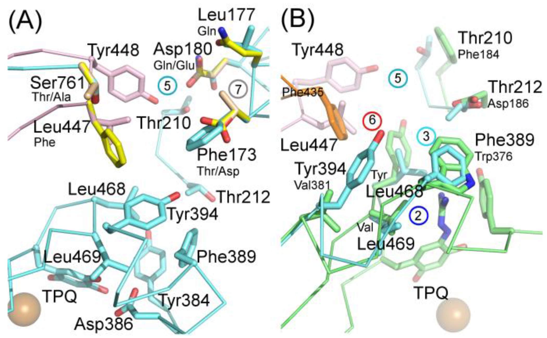 Molecules 25 01293 g007