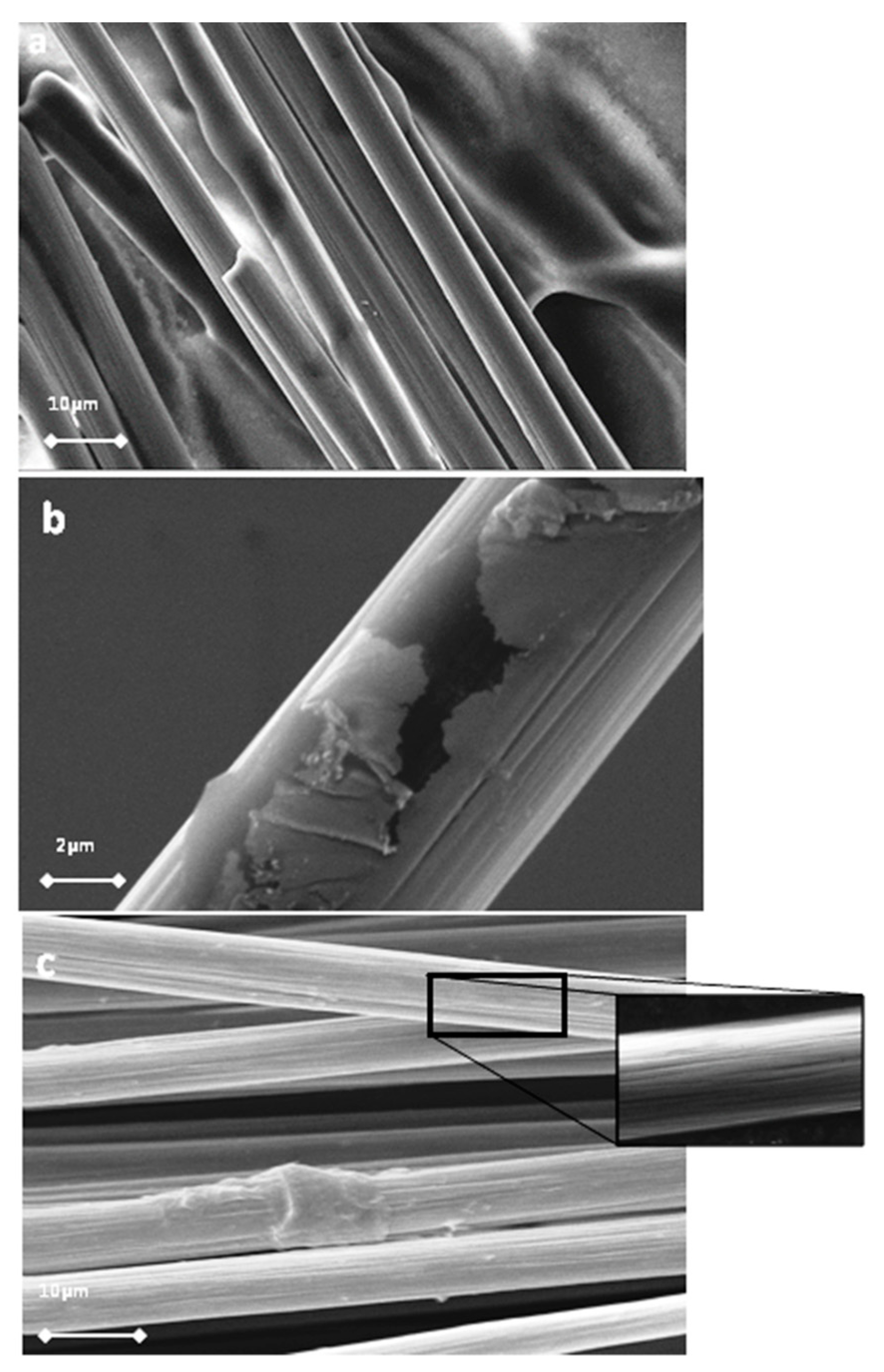 Molecules 25 01295 g001